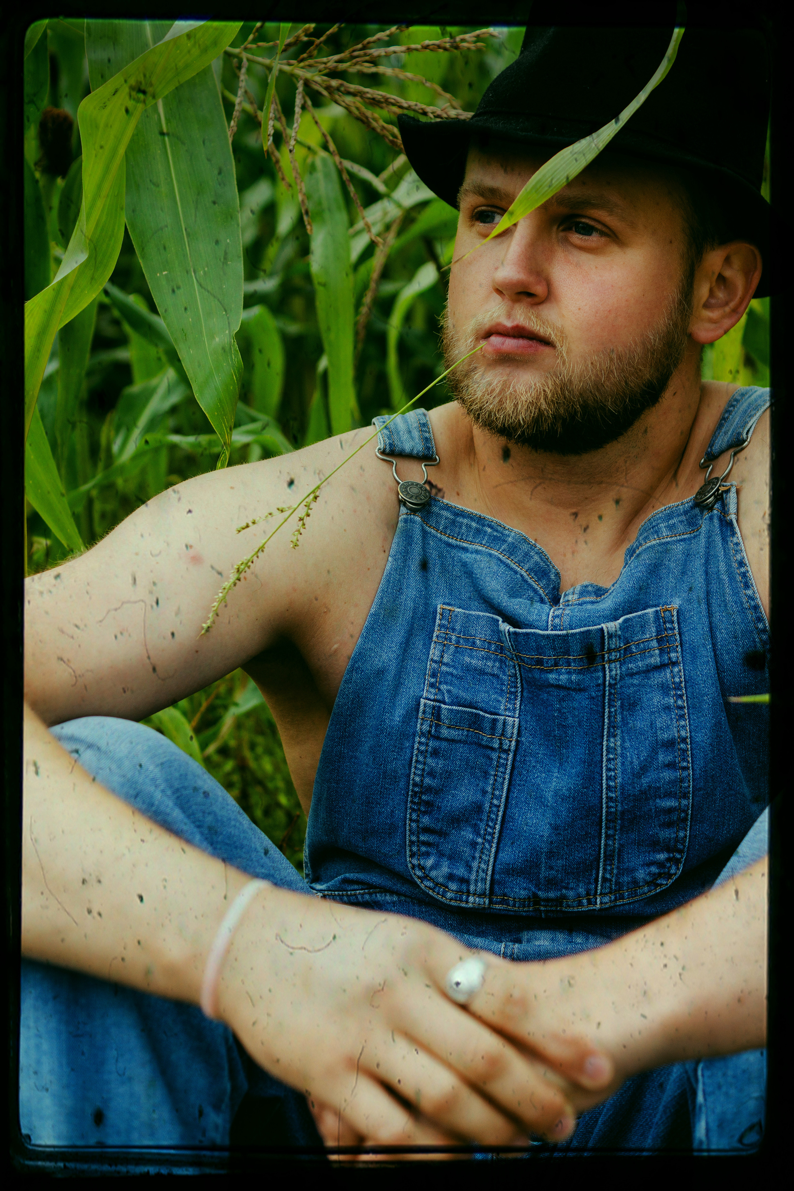 Кукуруза. Фотограф в Санкт-Петербурге Павел Жуков