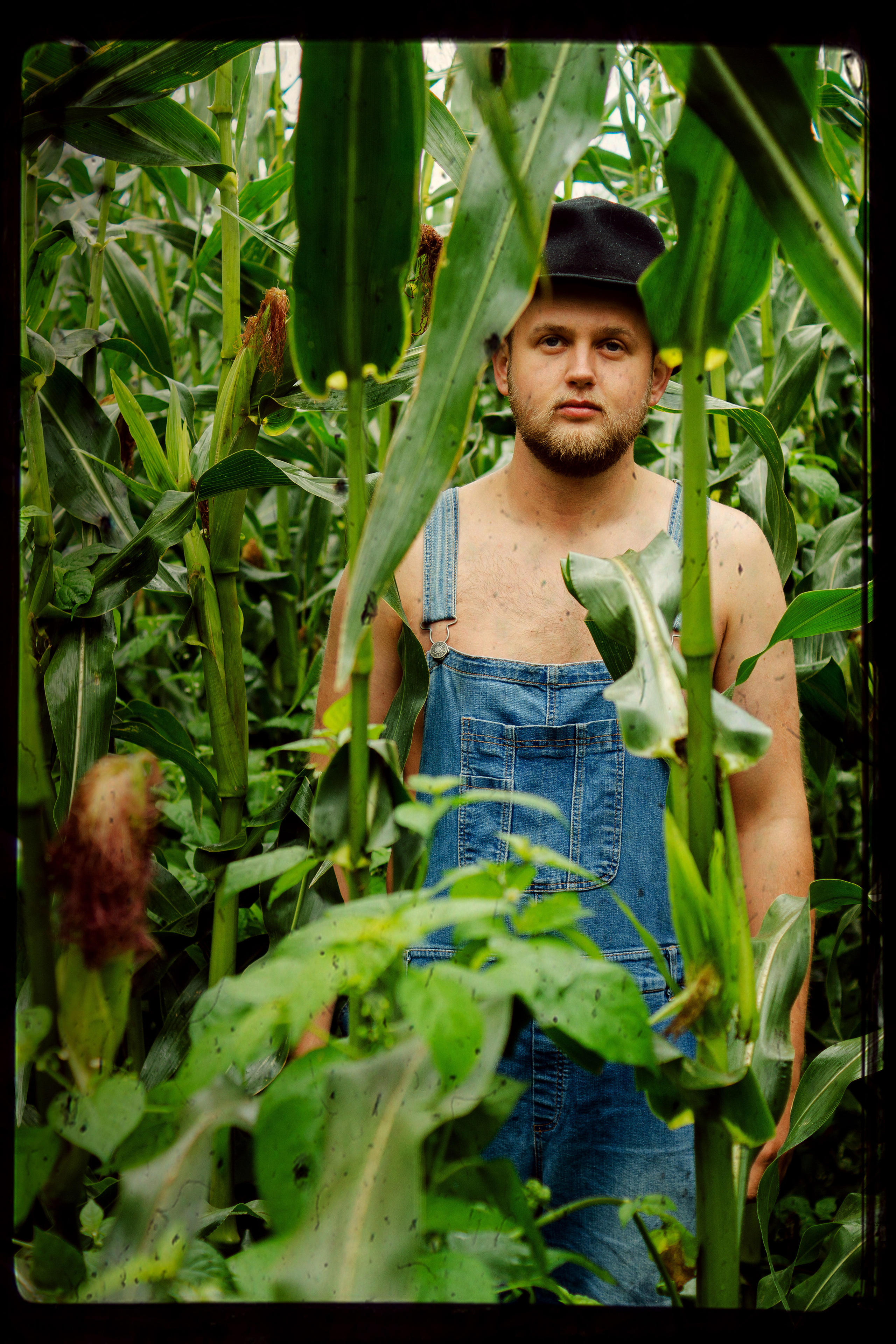 Кукуруза. Фотограф в Санкт-Петербурге Павел Жуков