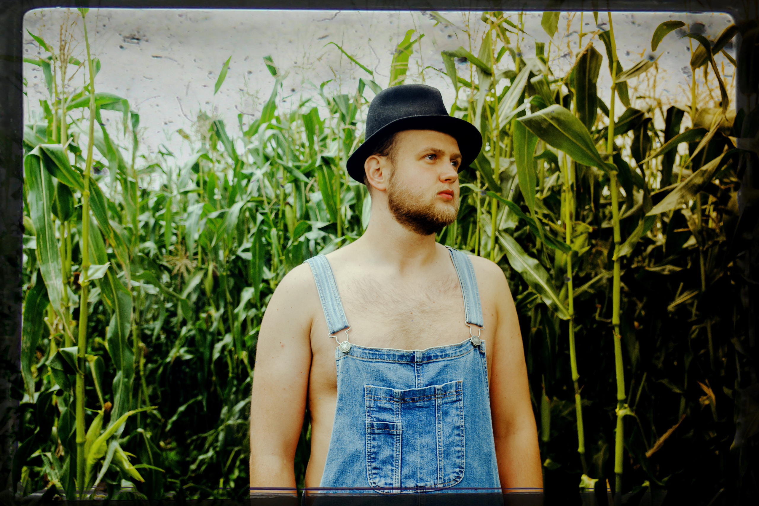 Кукуруза. Фотограф в Санкт-Петербурге Павел Жуков