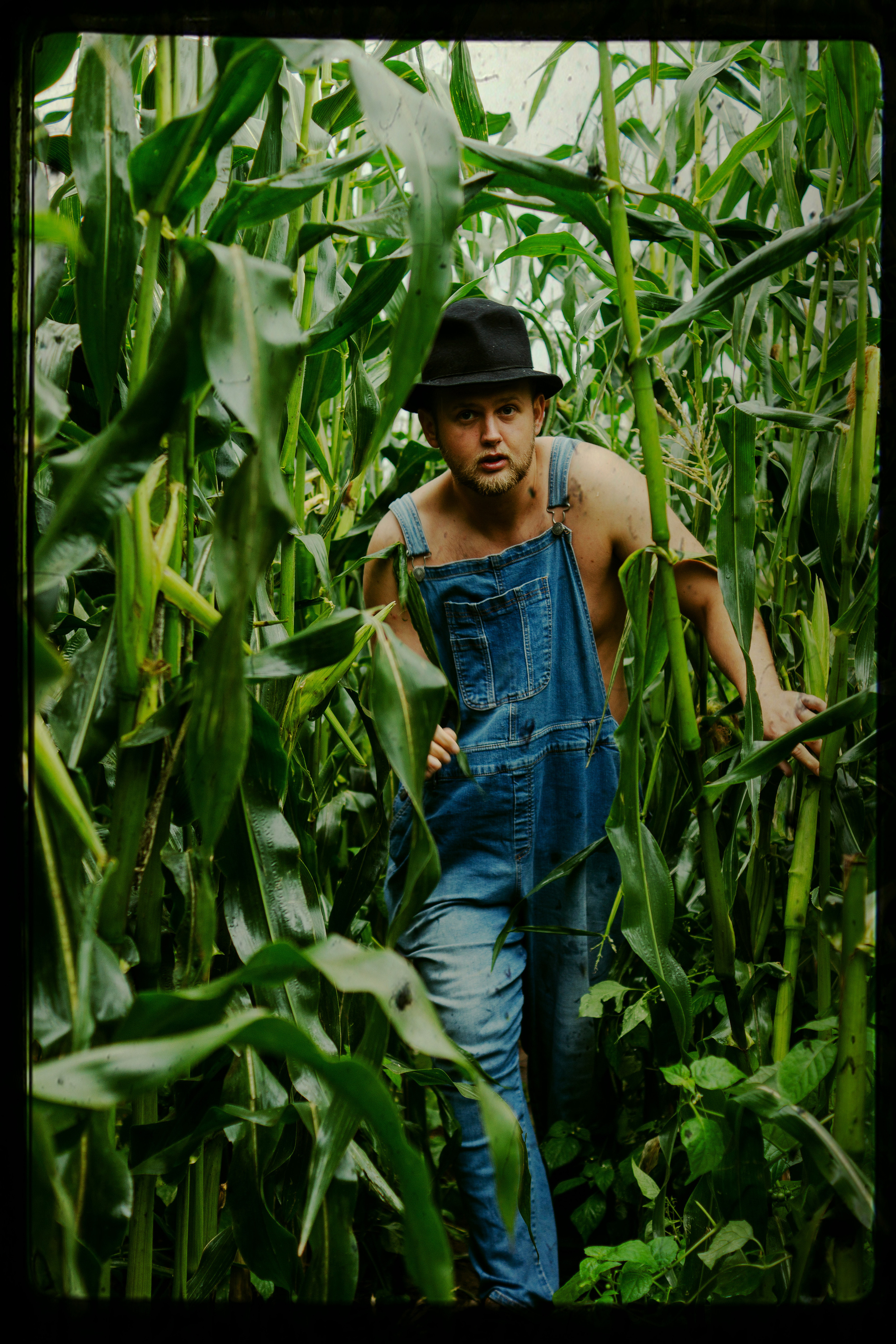 Кукуруза. Фотограф в Санкт-Петербурге Павел Жуков