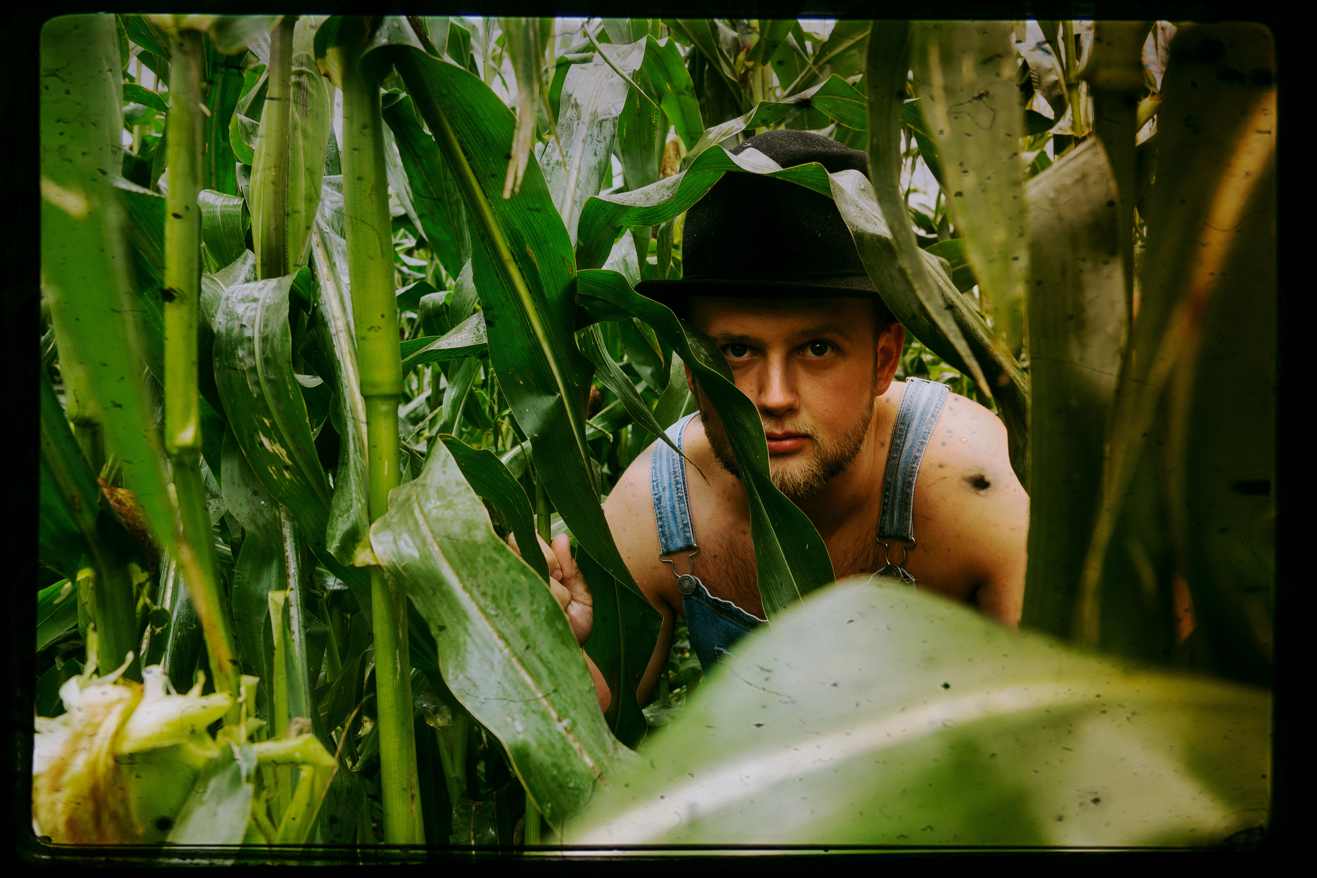 Кукуруза. Фотограф в Санкт-Петербурге Павел Жуков