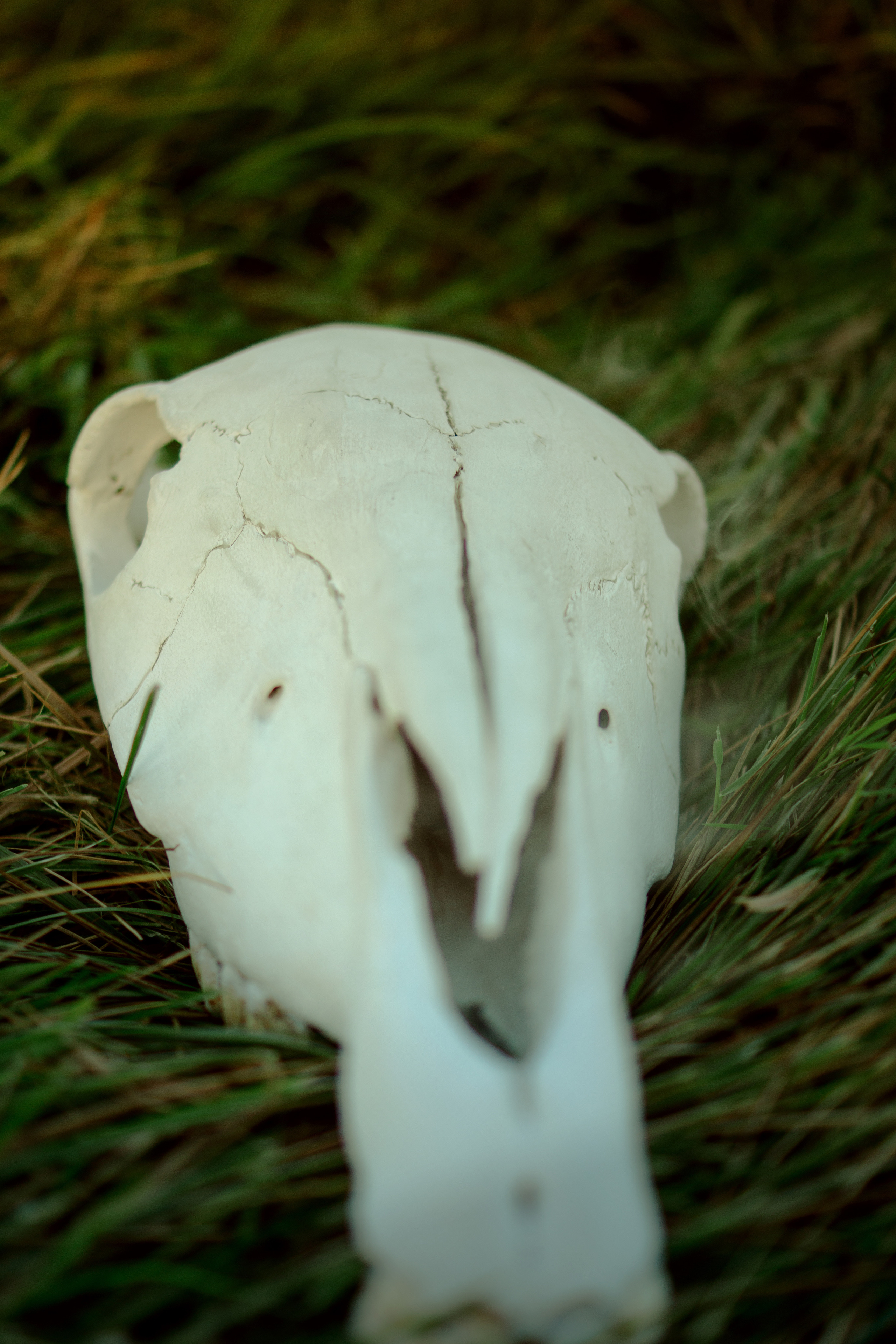 Алекс. Фотограф в Санкт-Петербурге Павел Жуков