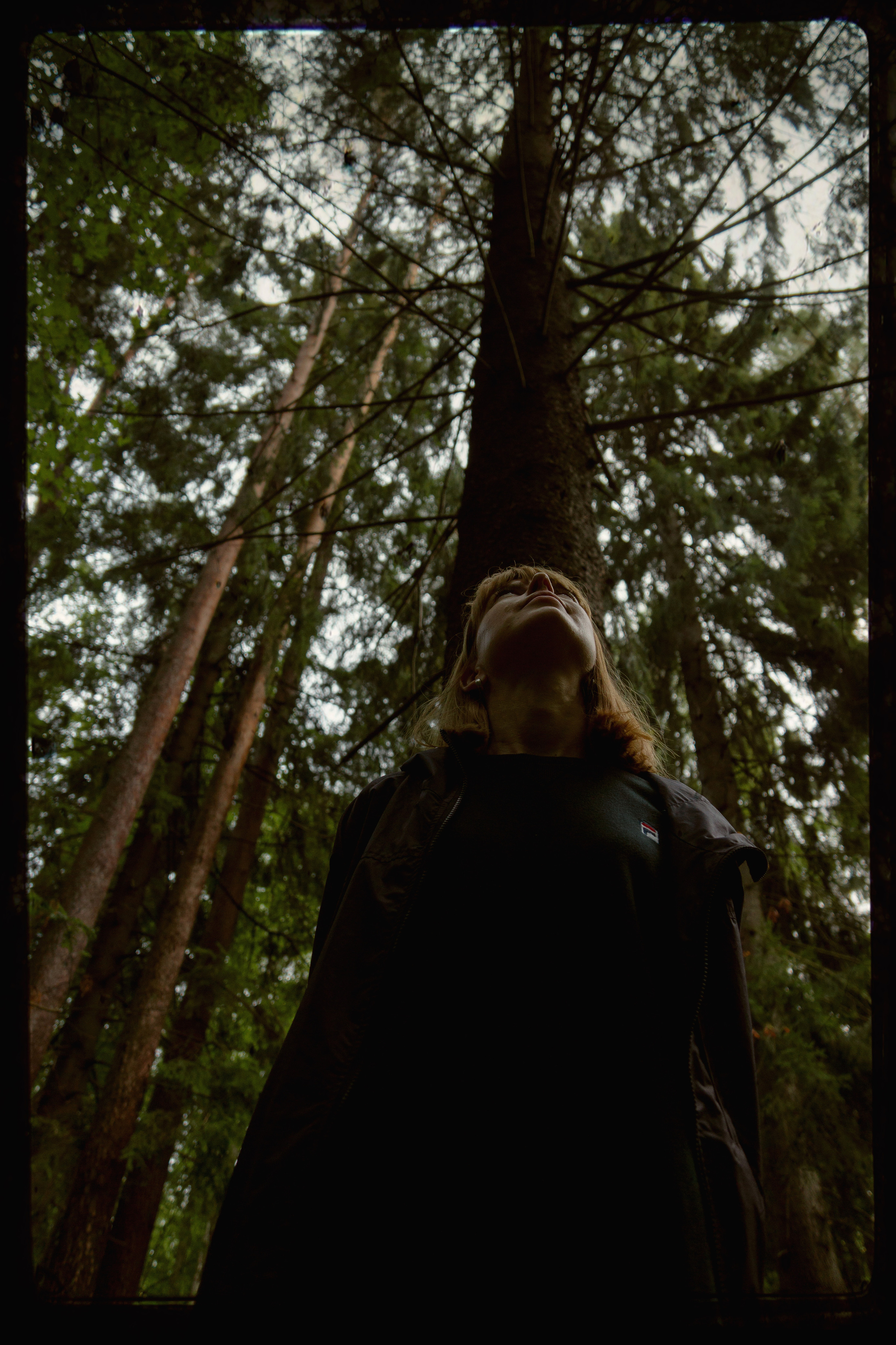 Комарово. Фотограф в Санкт-Петербурге Павел Жуков