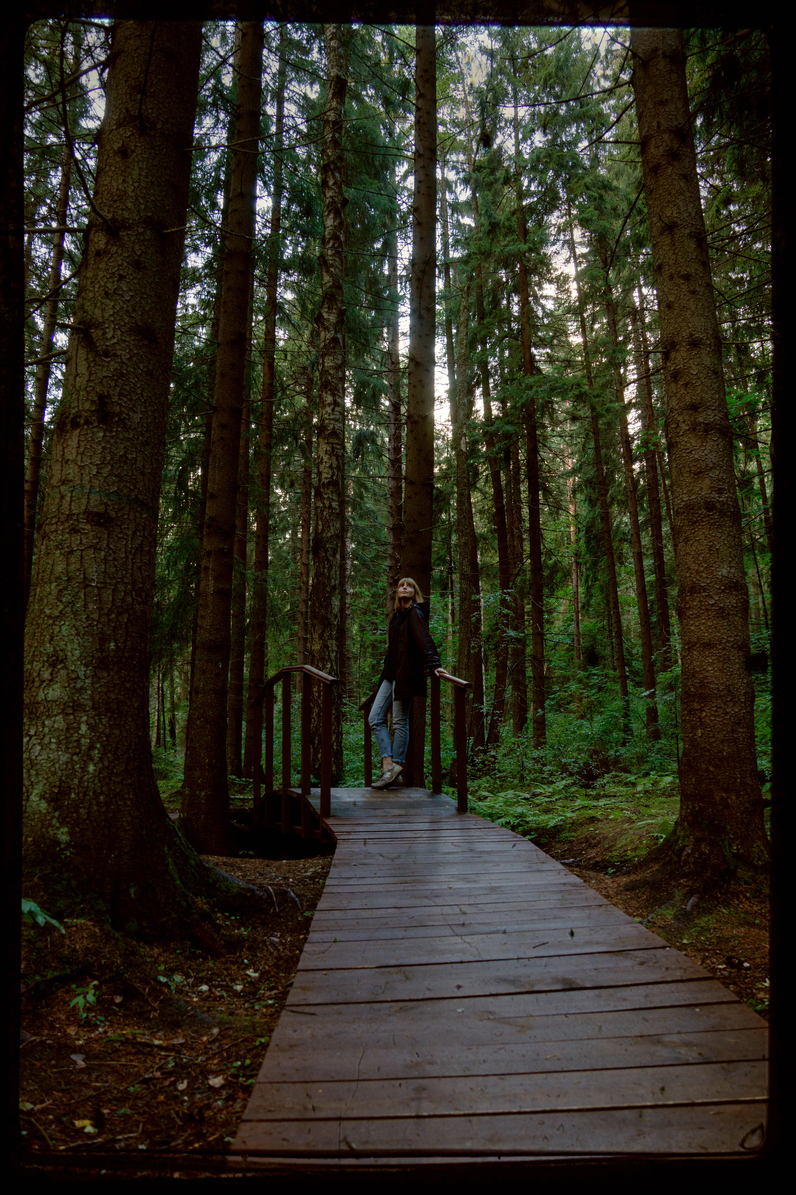 Комарово. Фотограф в Санкт-Петербурге Павел Жуков