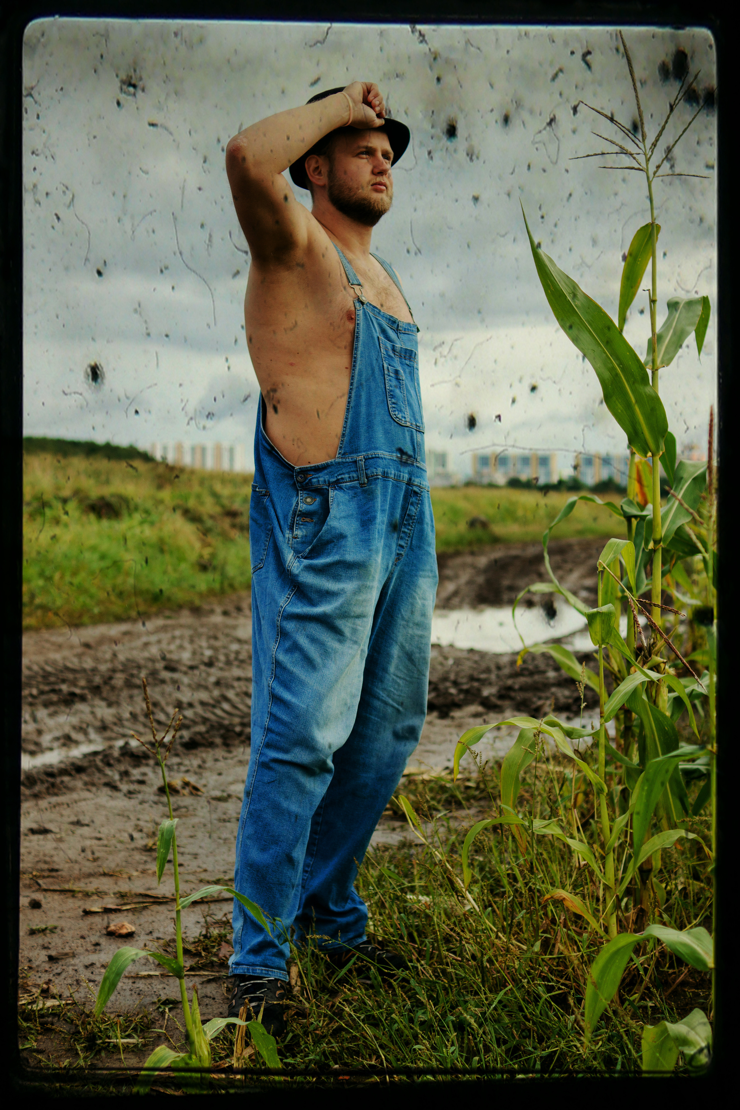 Кукуруза. Фотограф в Санкт-Петербурге Павел Жуков