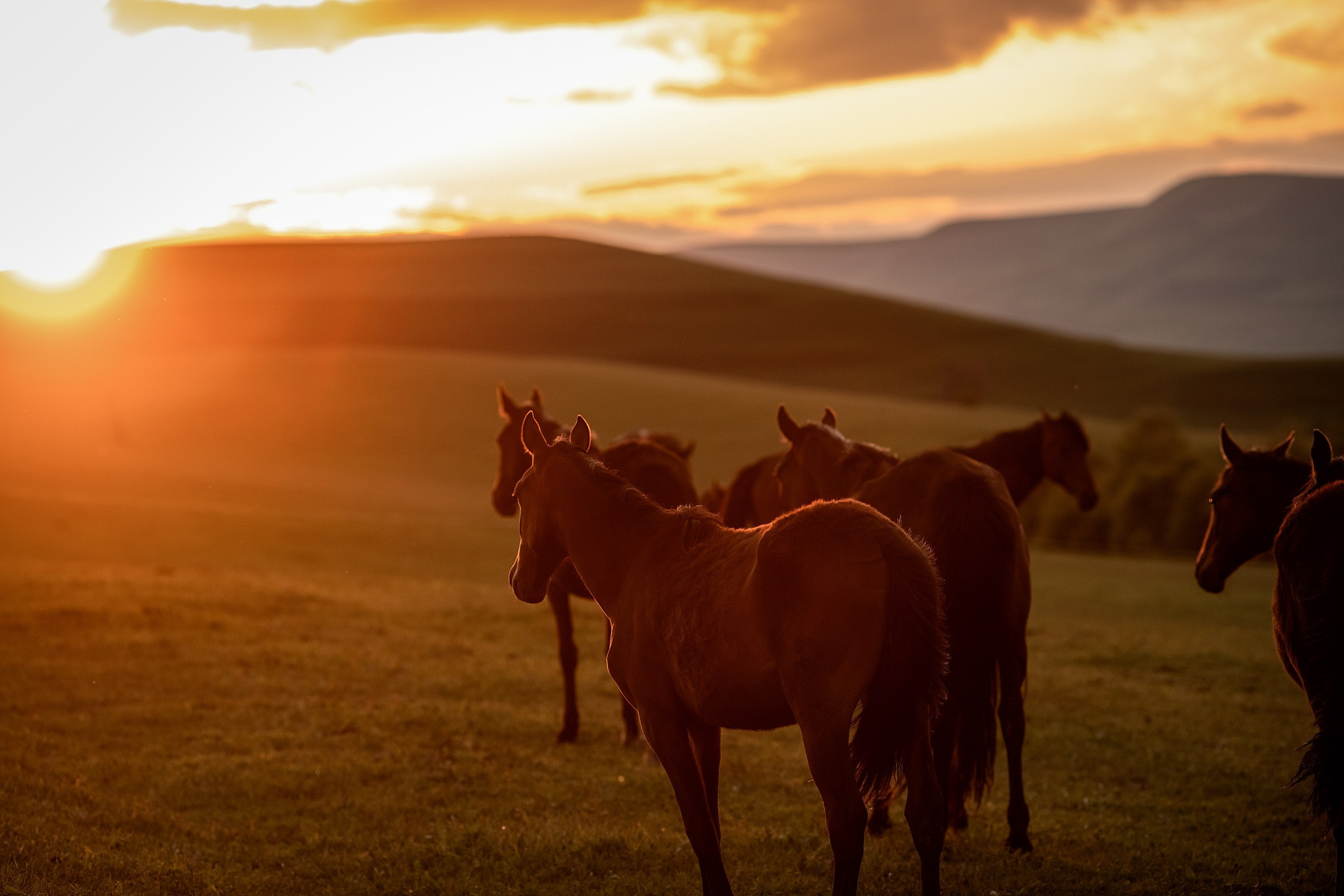 Майское закатное. BrisArts