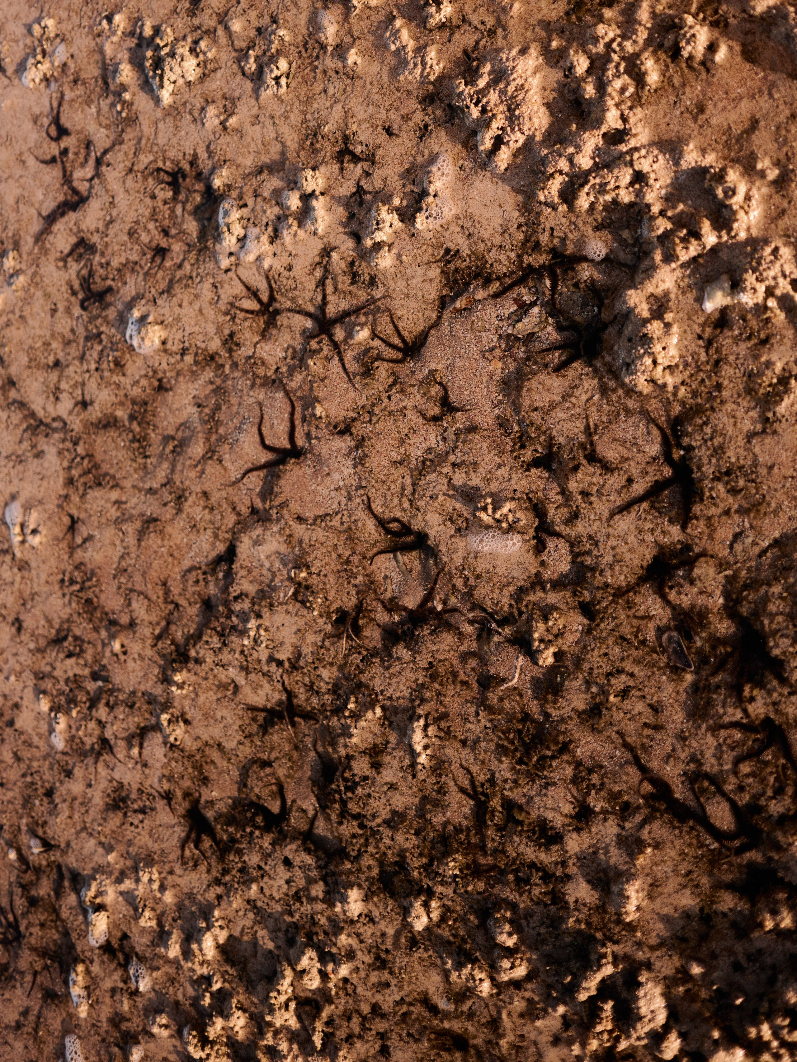 Другое 3. Jorgis Talè — photographer, kind person, teacher of arts and other mag