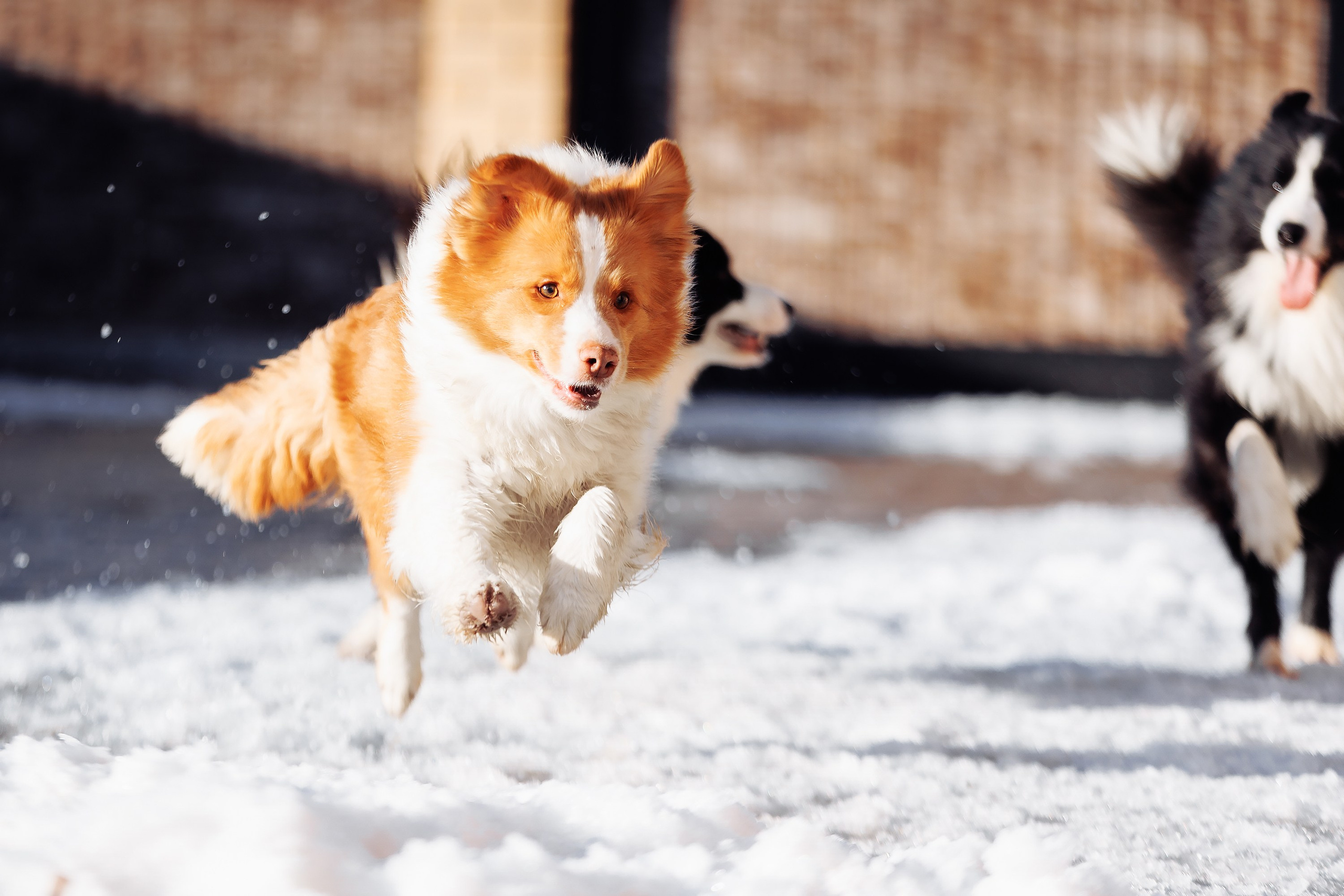 Пока таяло. О нас