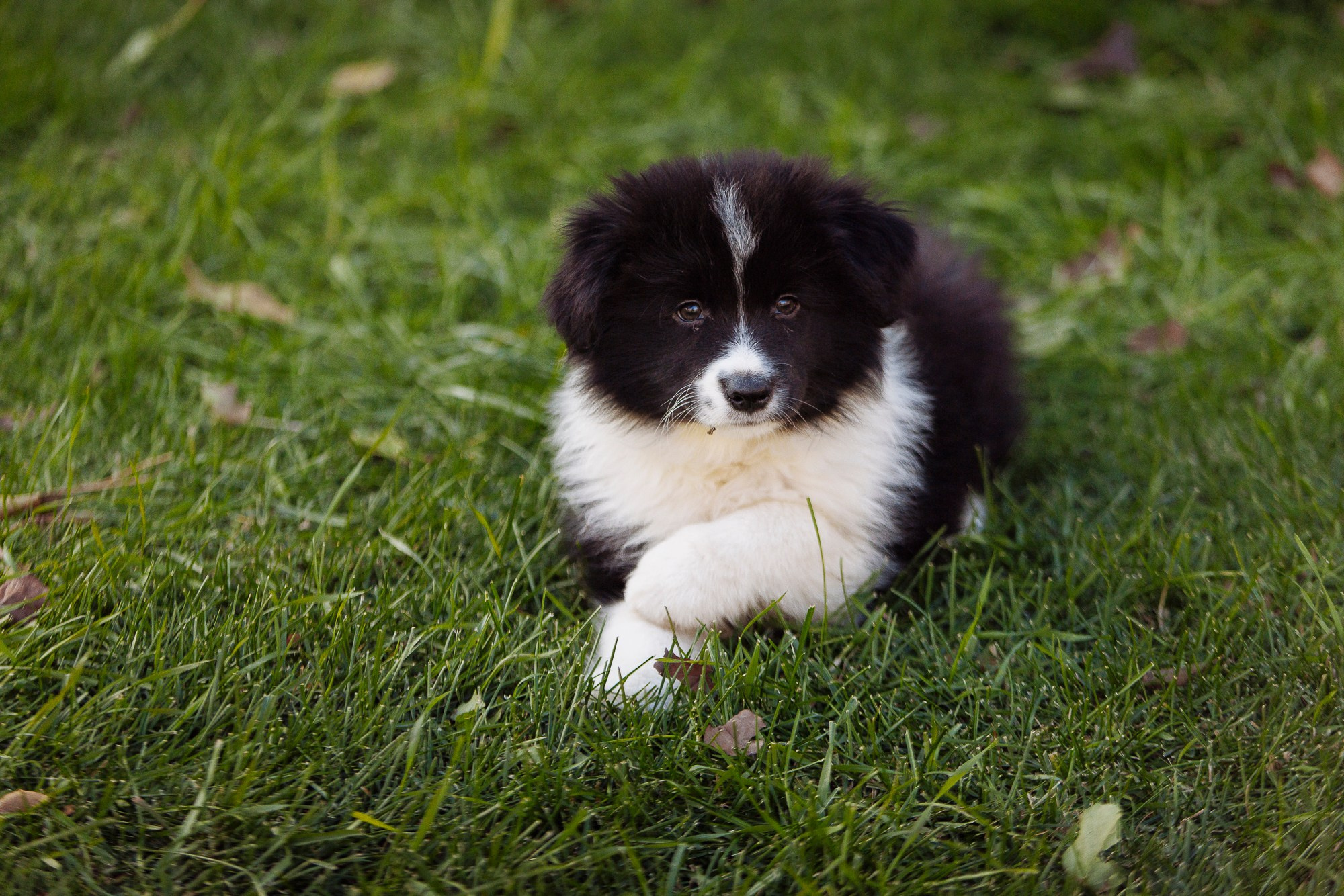 У дома с большой компанией от мала до велика. О нас