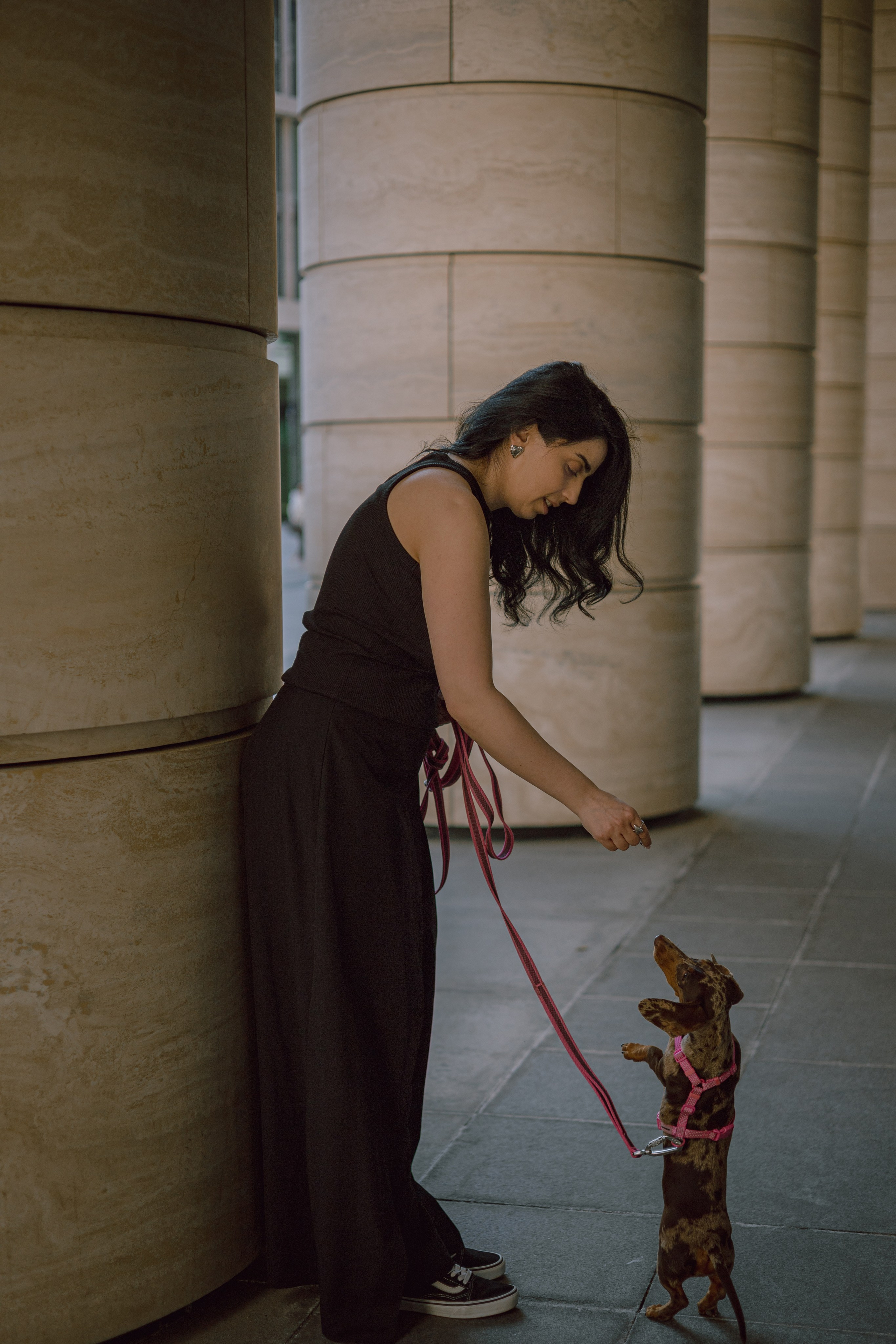 Каринэ и Келли. Фотограф — анималист •love-story•|Санкт-Петербург