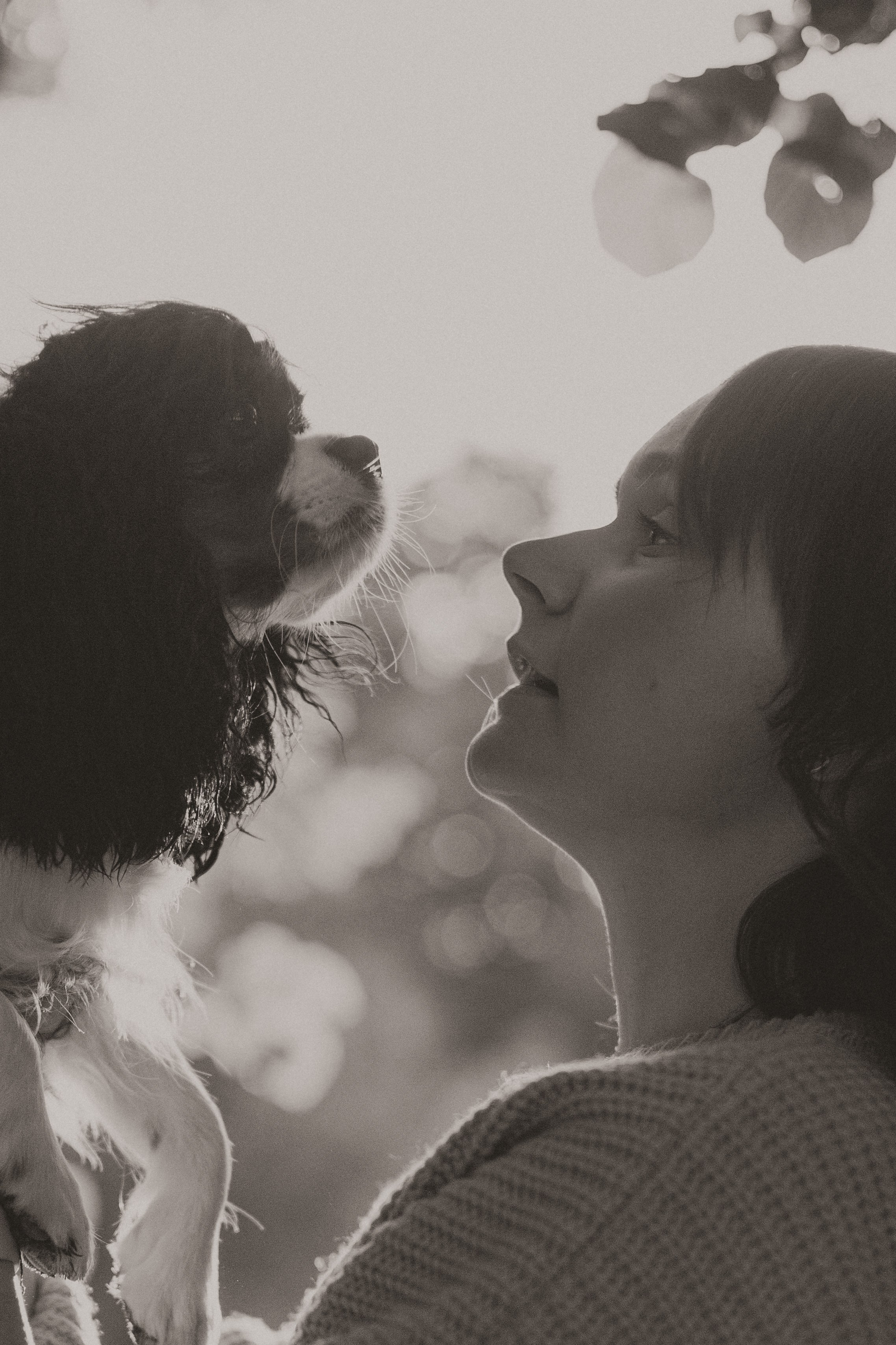 Светлана & Стеша & Настя. Фотограф — анималист •love-story•|Санкт-Петербург