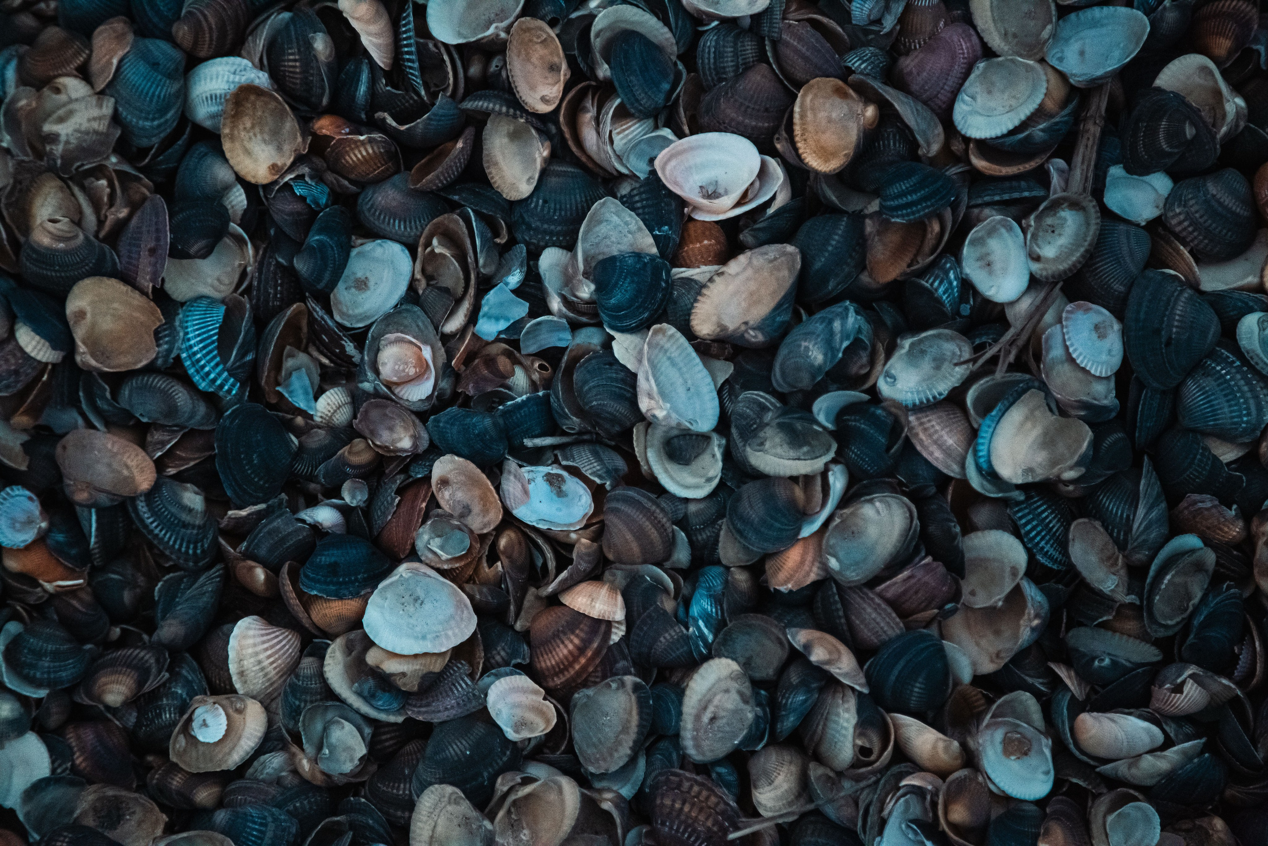 После шторма. Dmitriy [KCCC] is a pretty cool photographer