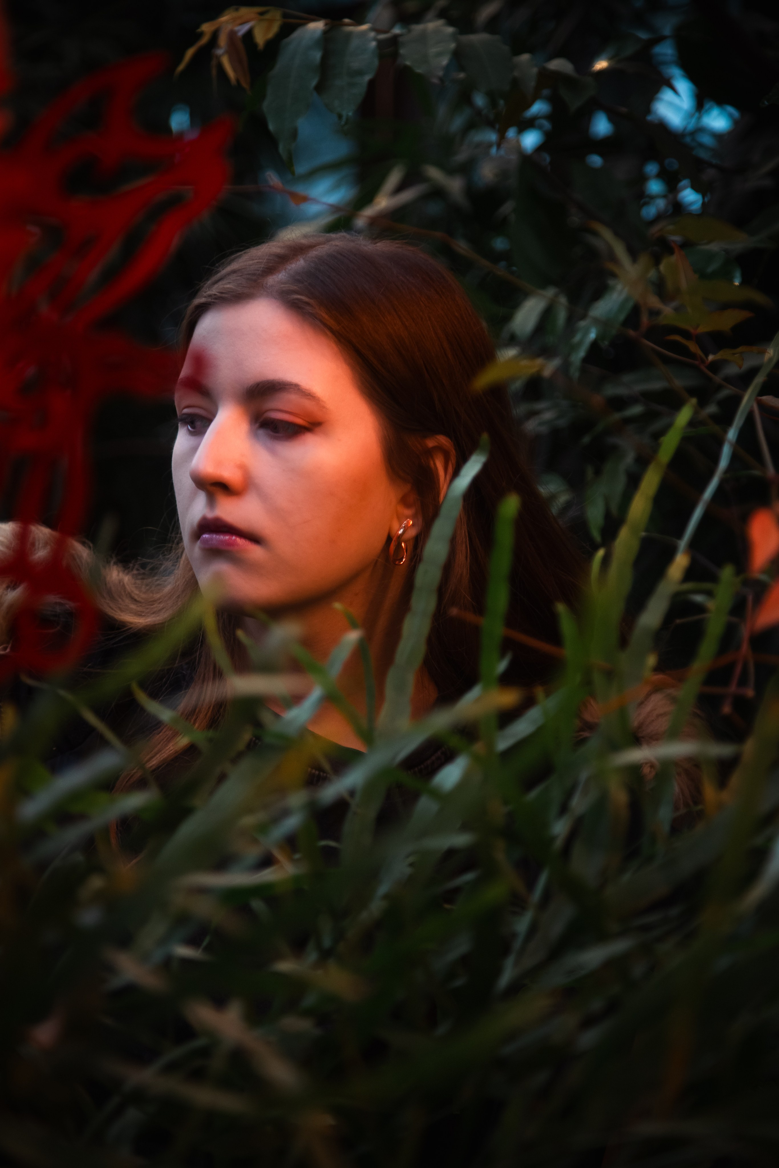 Китайский новый год 2025. Dmitriy [KCCC] is a pretty cool photographer