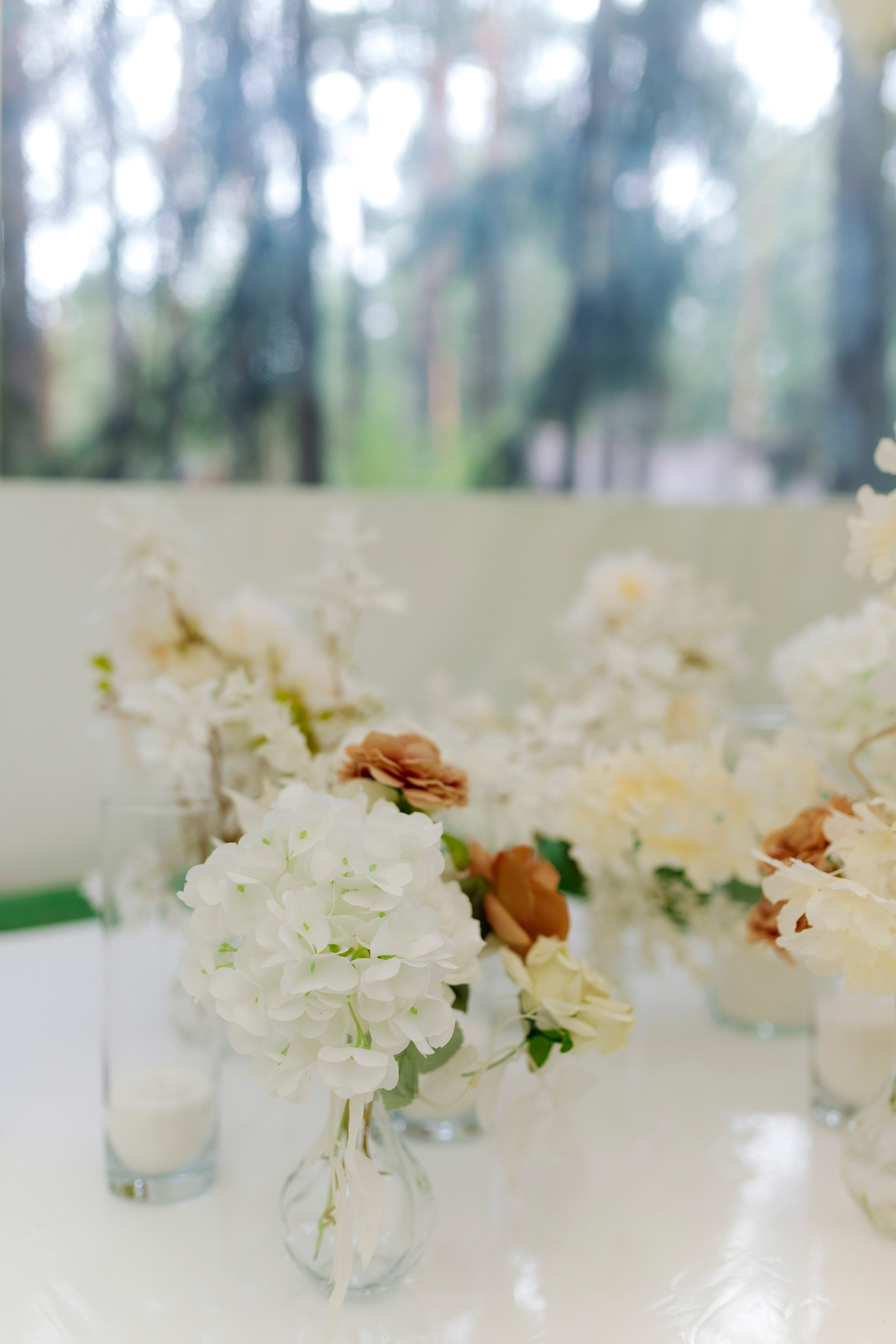 Борис и Юля 23.08.25. Индивидуальный, семейный и свадебный фотограф