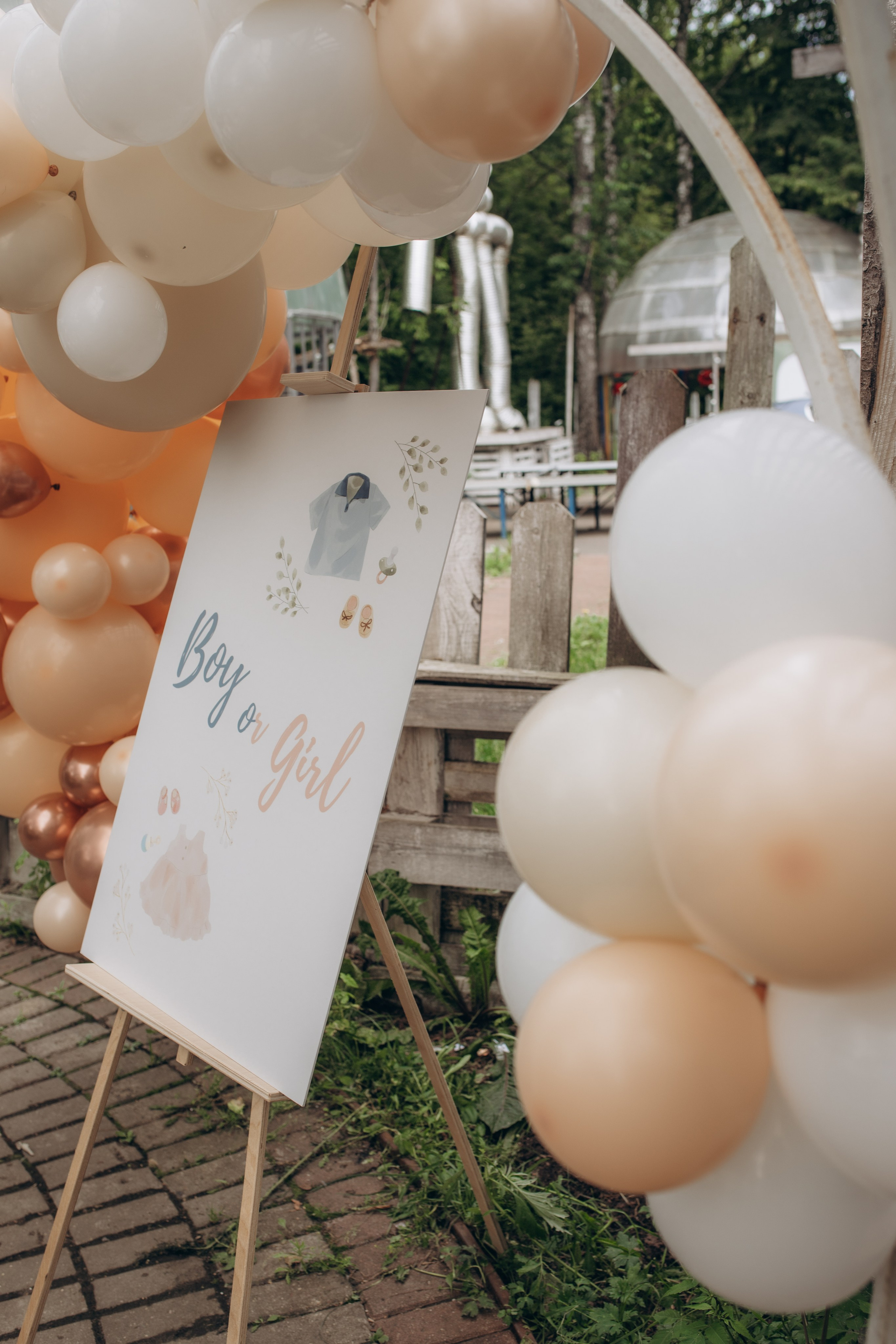 Гендер пати. Семейный и домашний фотограф в Москве и МО Королева Валерия