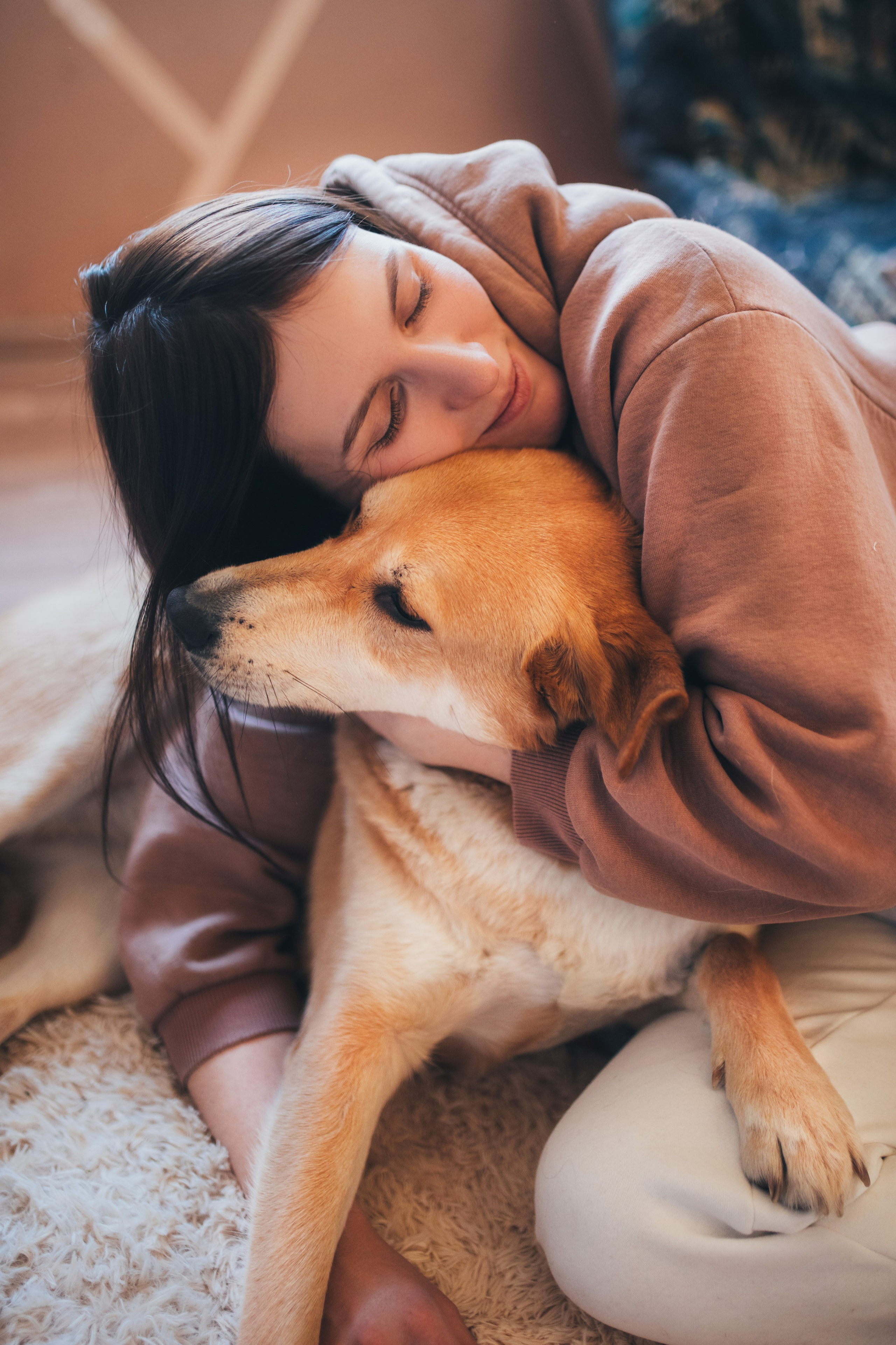 Фотосессии с собаками. Главная