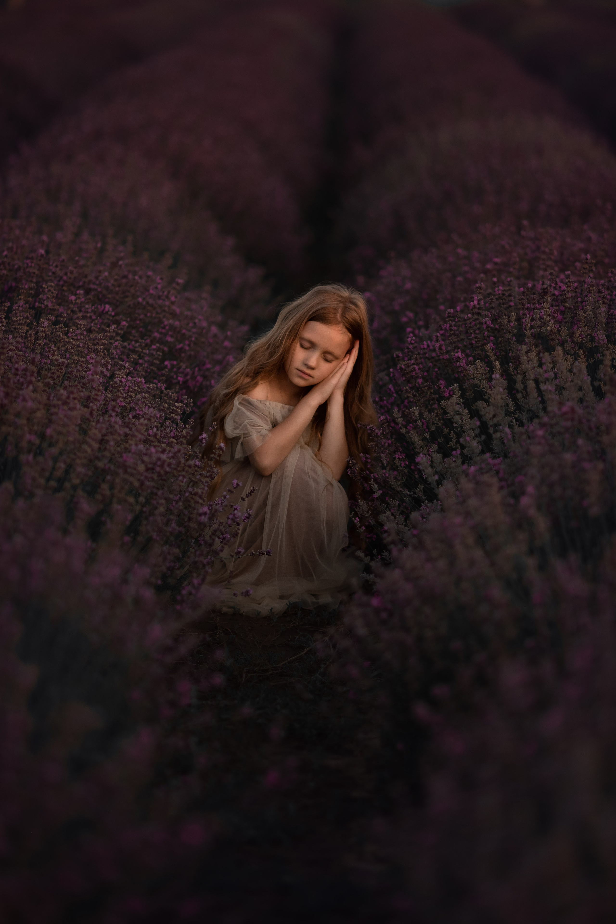 Лаванда. Семейный, детский и женский фотограф в Ростове-на-Дону Кирилина Екатерина