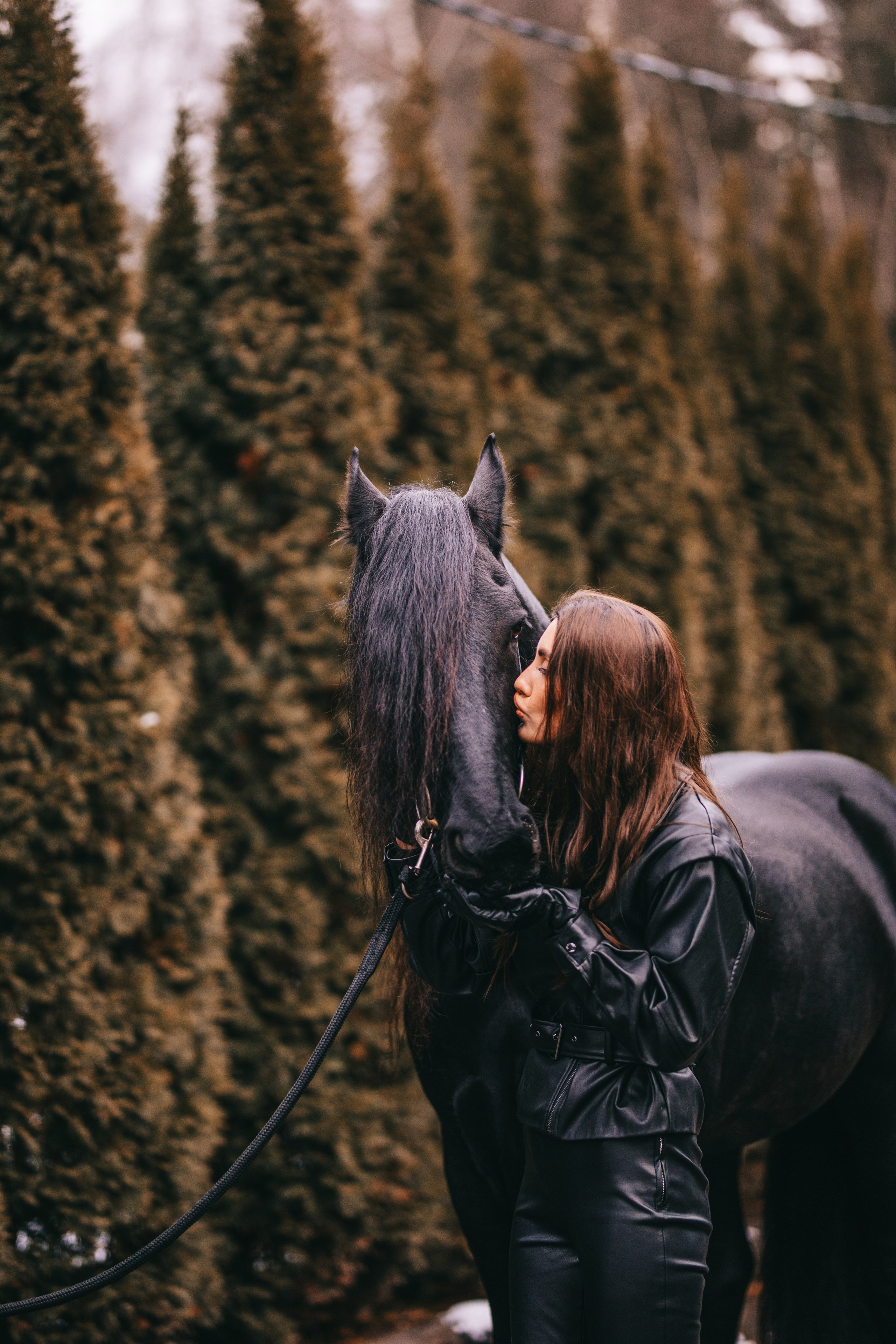 Фотосессия с лошадьми в Москве. Фотосессии с лошадьми
