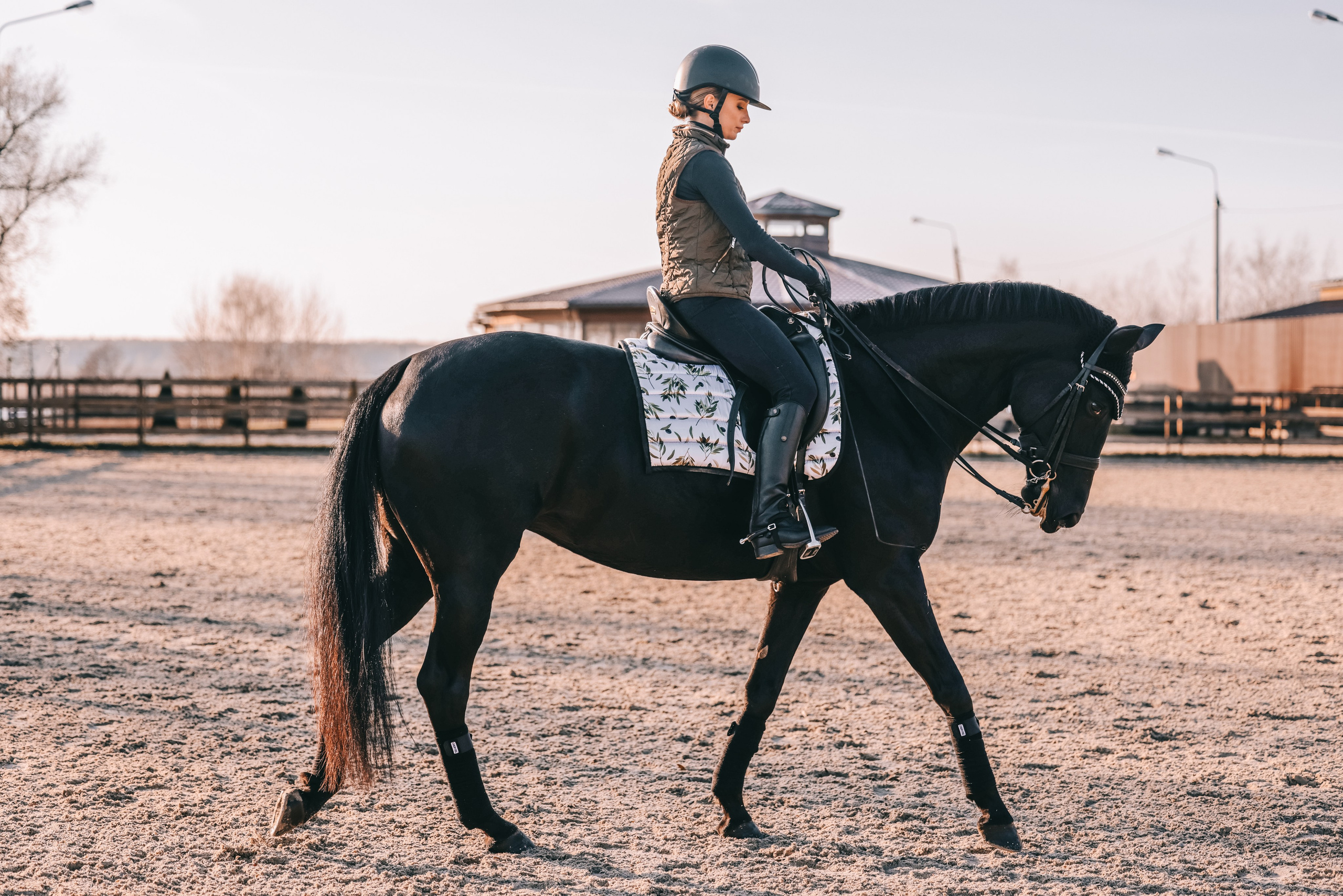 КСК Ждановское фотосессия. Фотосессии с лошадьми