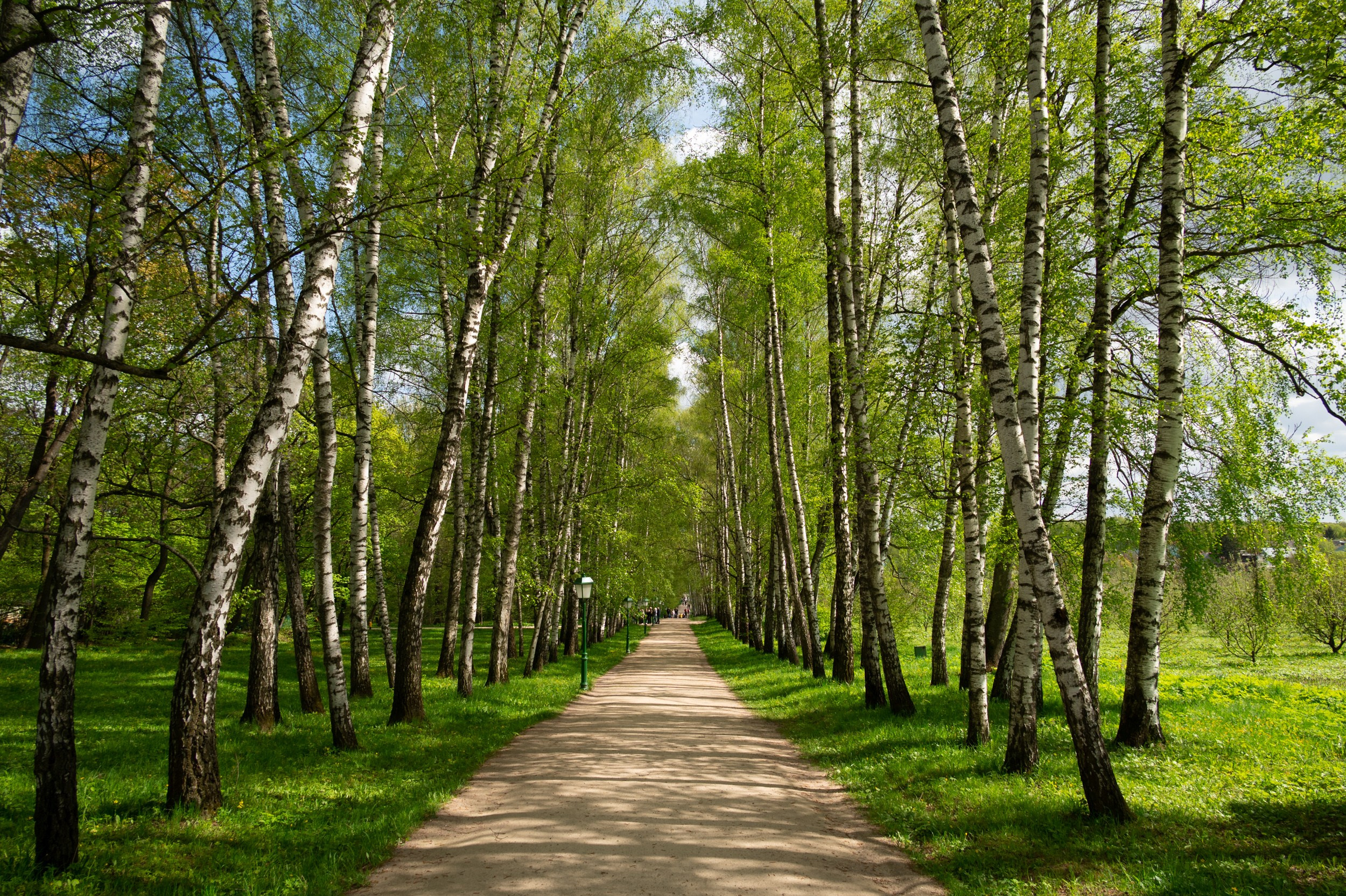 Ясная поляна. Фотограф и видеооператор в Туле | Даниил Рыбак
