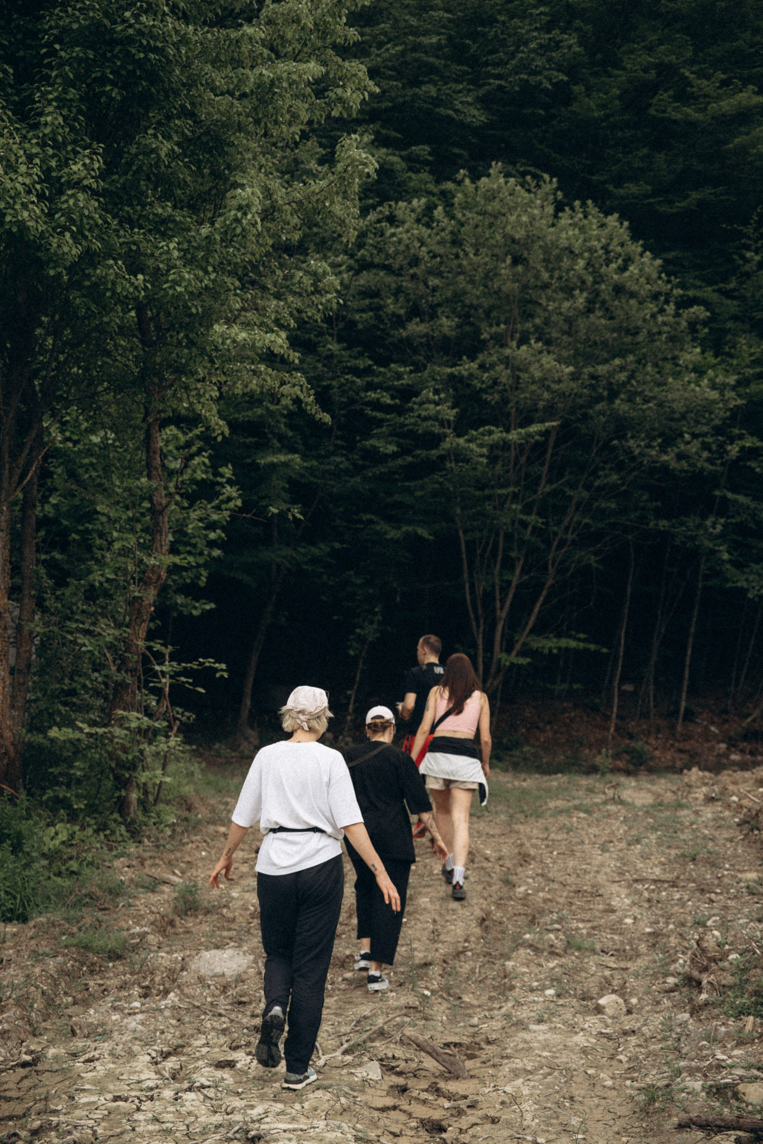 Медвежий приют, Мамкода, Грузия 🇬🇪 «Honey Trip». Anita_photo