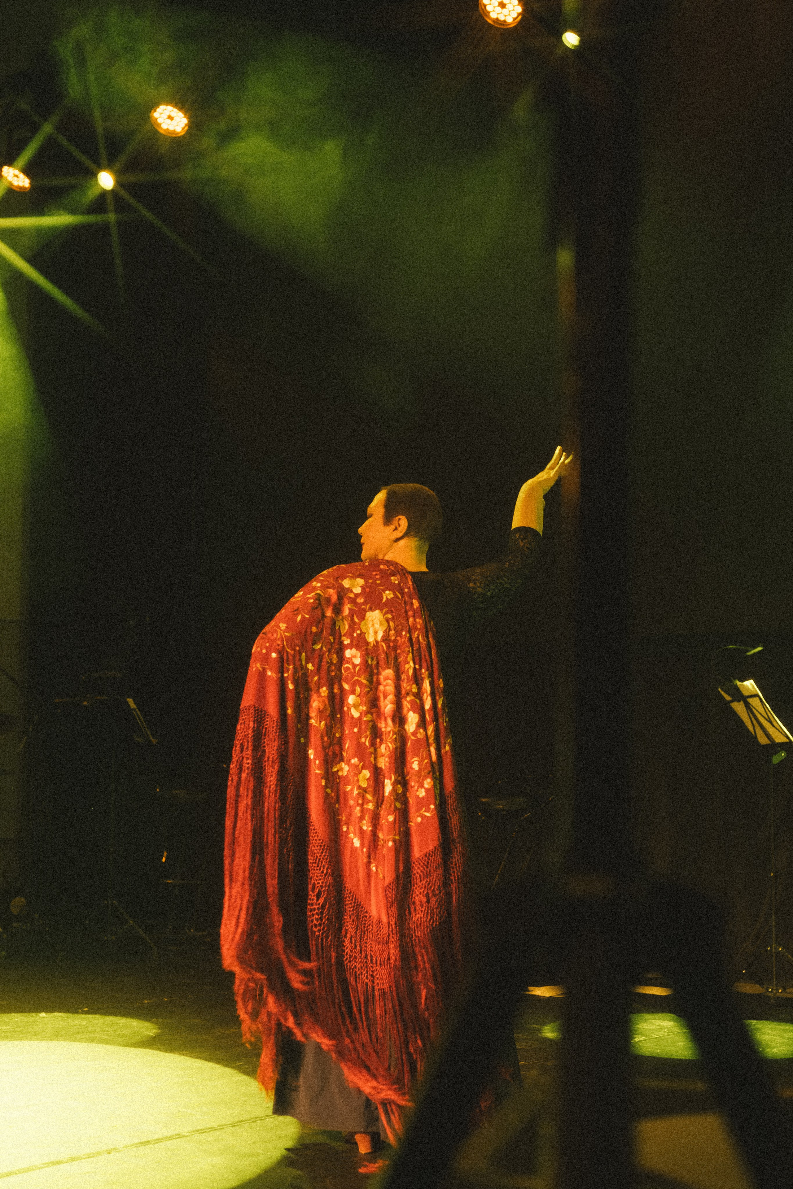 Спектакль «Mujeres» («Женщины»), студия фламенко Tierra del Sol. Анна Демидова — фотография для жизни и бизнеса в Абакане