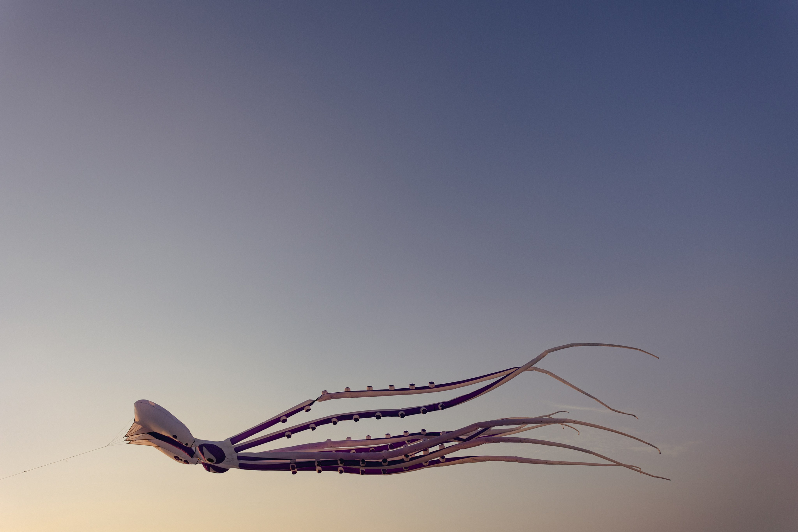 PATTAYA INTERNATIONAL KITE ON THE BEACH 2024. Photographer Sonkina Tatiana (Tanya Ash)