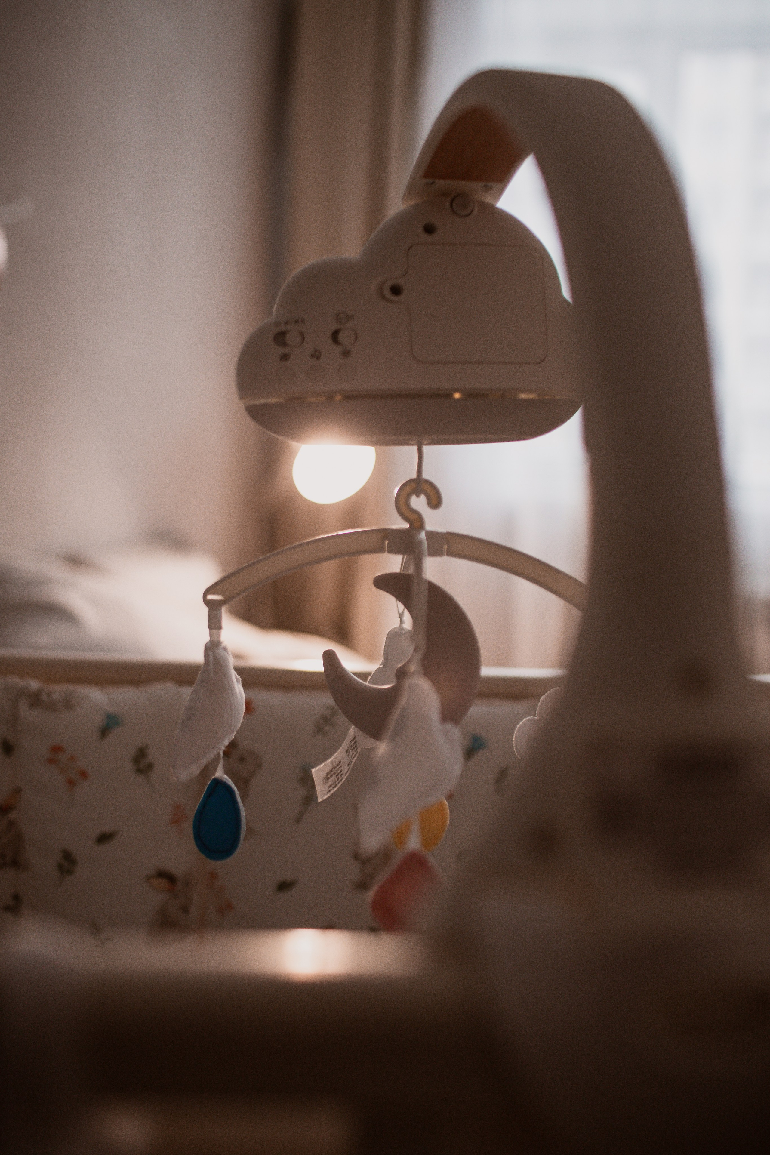 Лиза и Алиса. Свадебный и Семейный фотограф в Москве Александра Вайпер