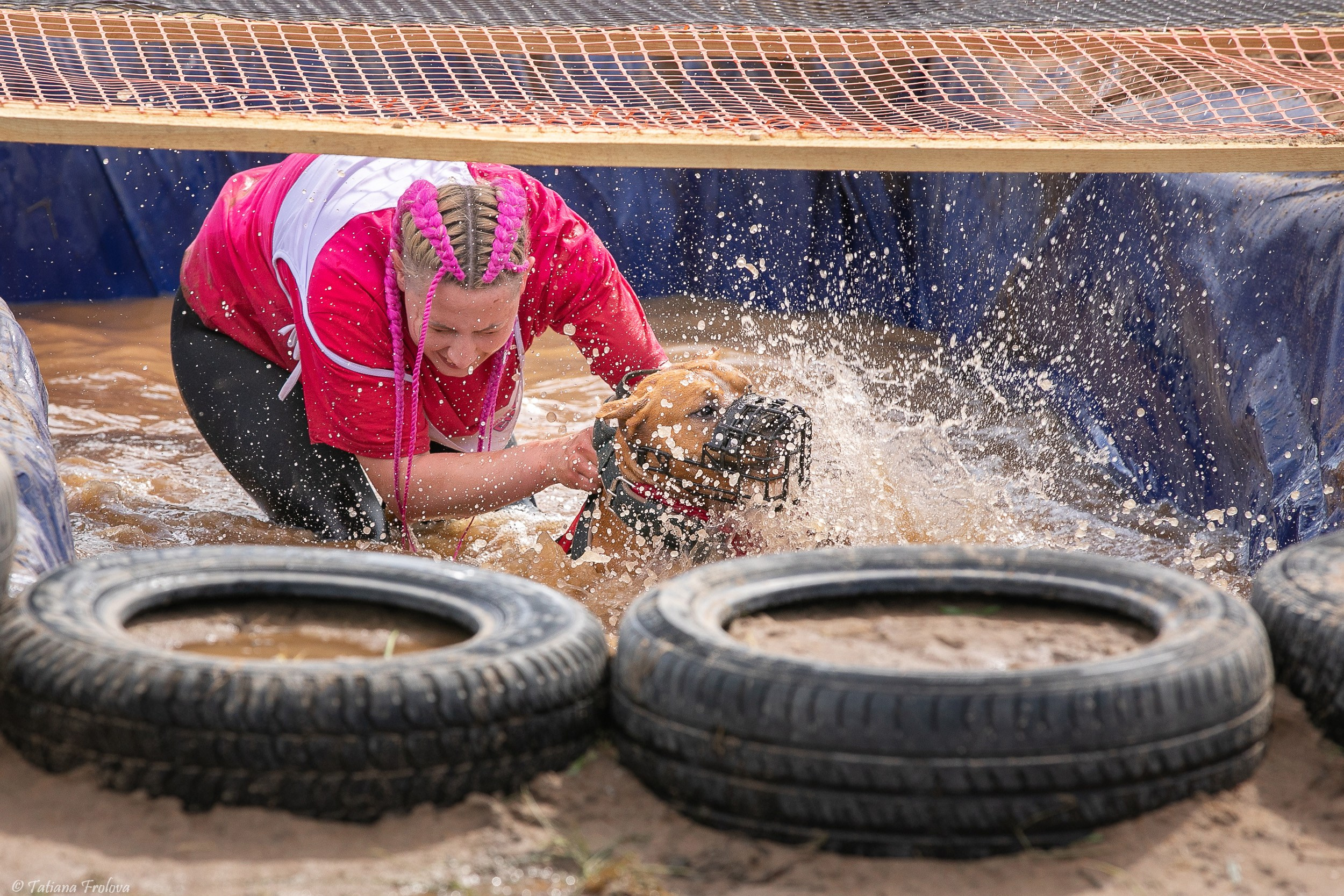 Фоторепортаж с забега с собаками. Фотограф-анималист в Москве и Московской области Татьяна Фролова