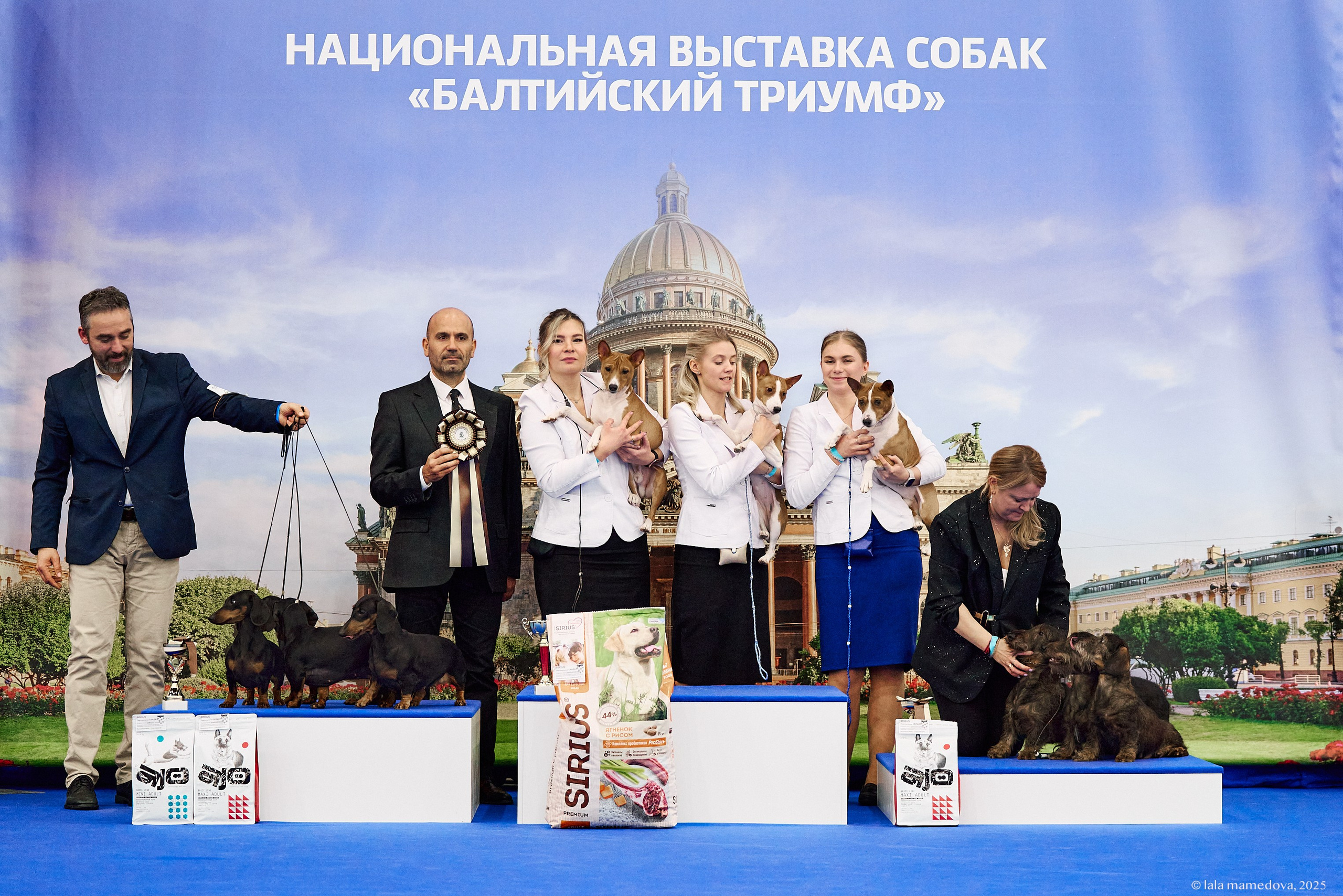 22-23 FEB 2025 | NATIONAL DOG SHOW «BALTIC TRIUMPH-2025»