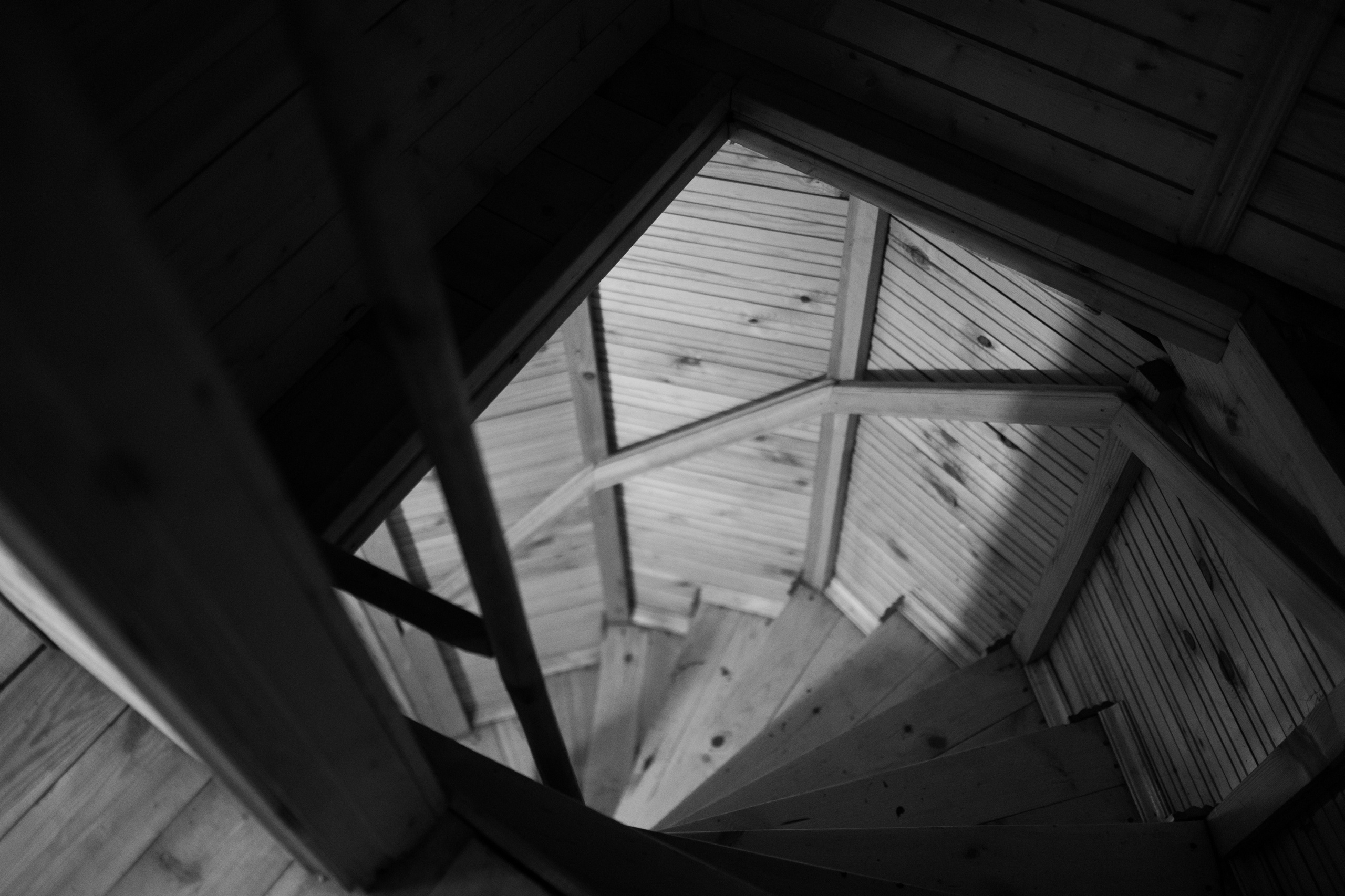 Свадьба в оттенках мечты. Свадебный фотограф Константинова Елена