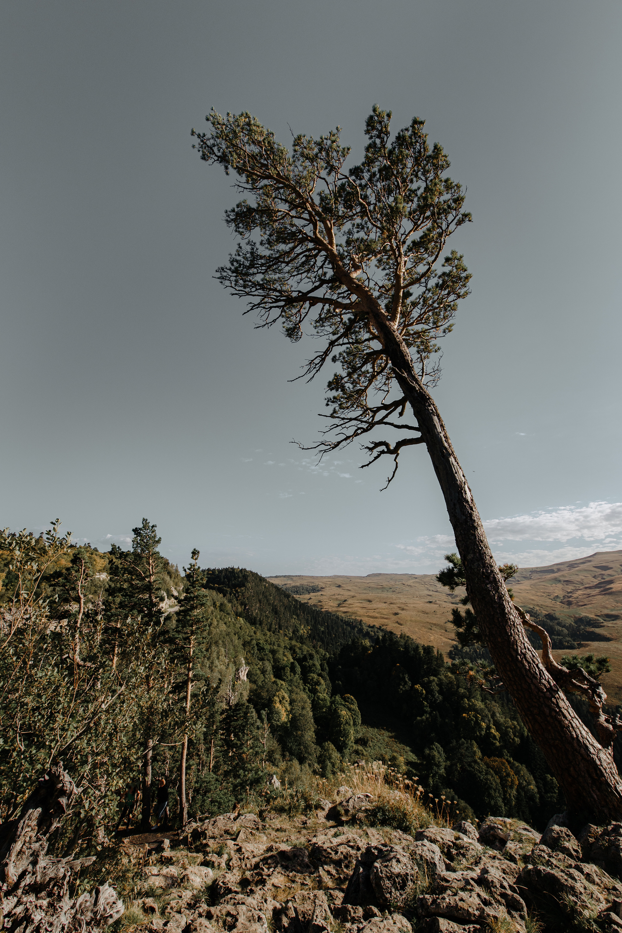 Свадебное путешествие в Адыгее. Свадебный фотограф Константинова Елена