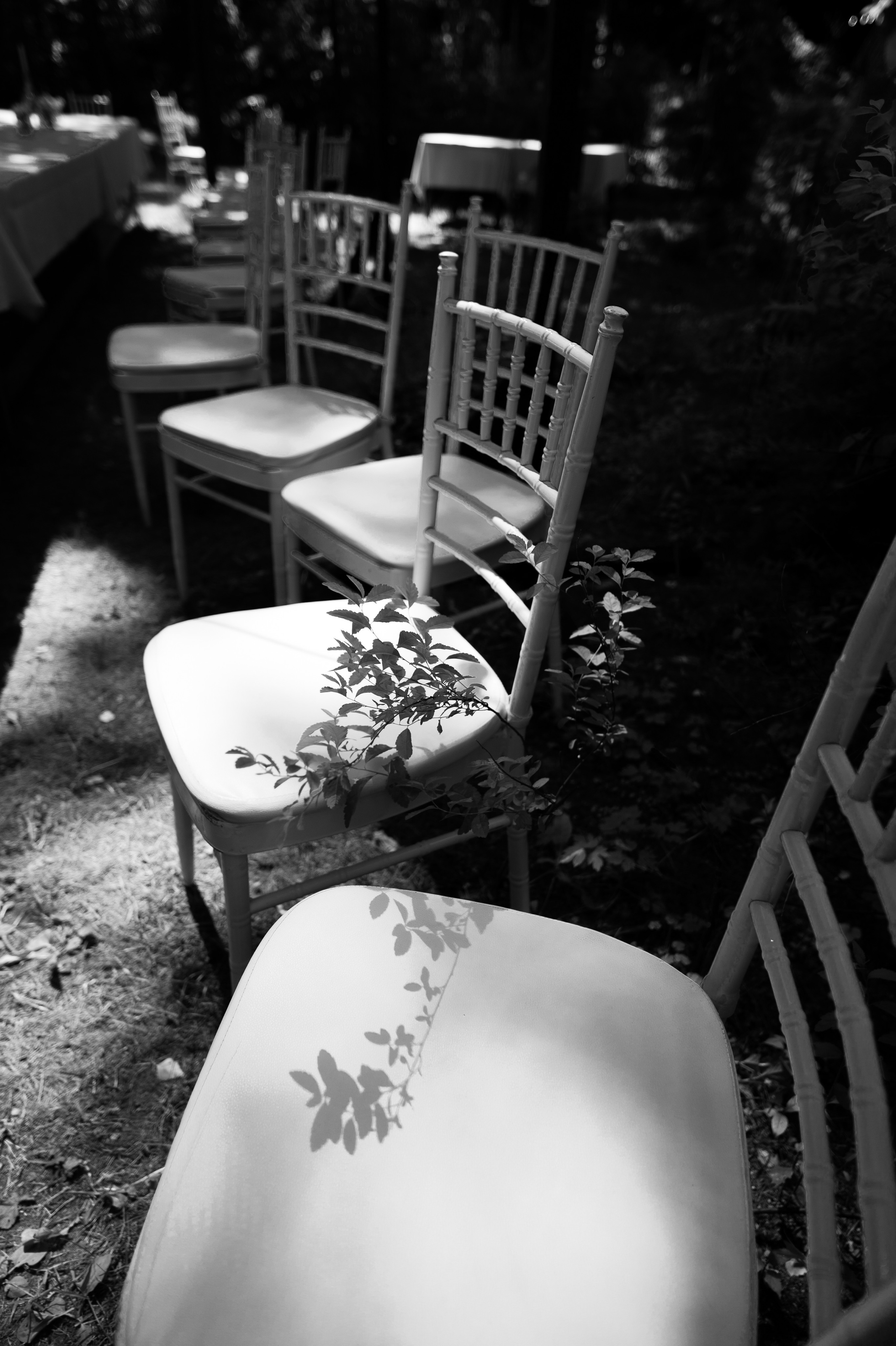 Свадьба в оттенках мечты. Свадебный фотограф Константинова Елена