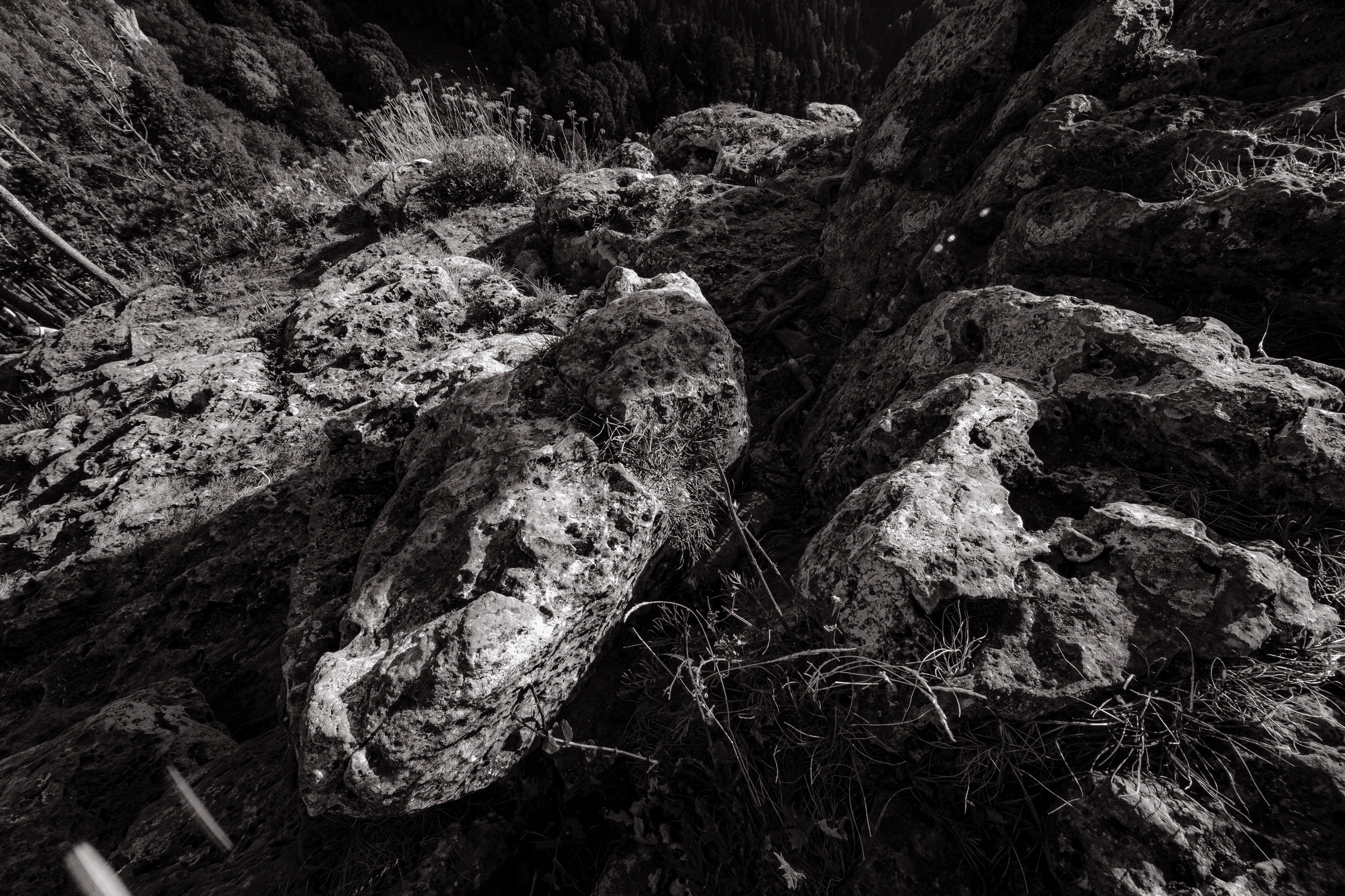 Свадебное путешествие в Адыгее. Свадебный фотограф Константинова Елена