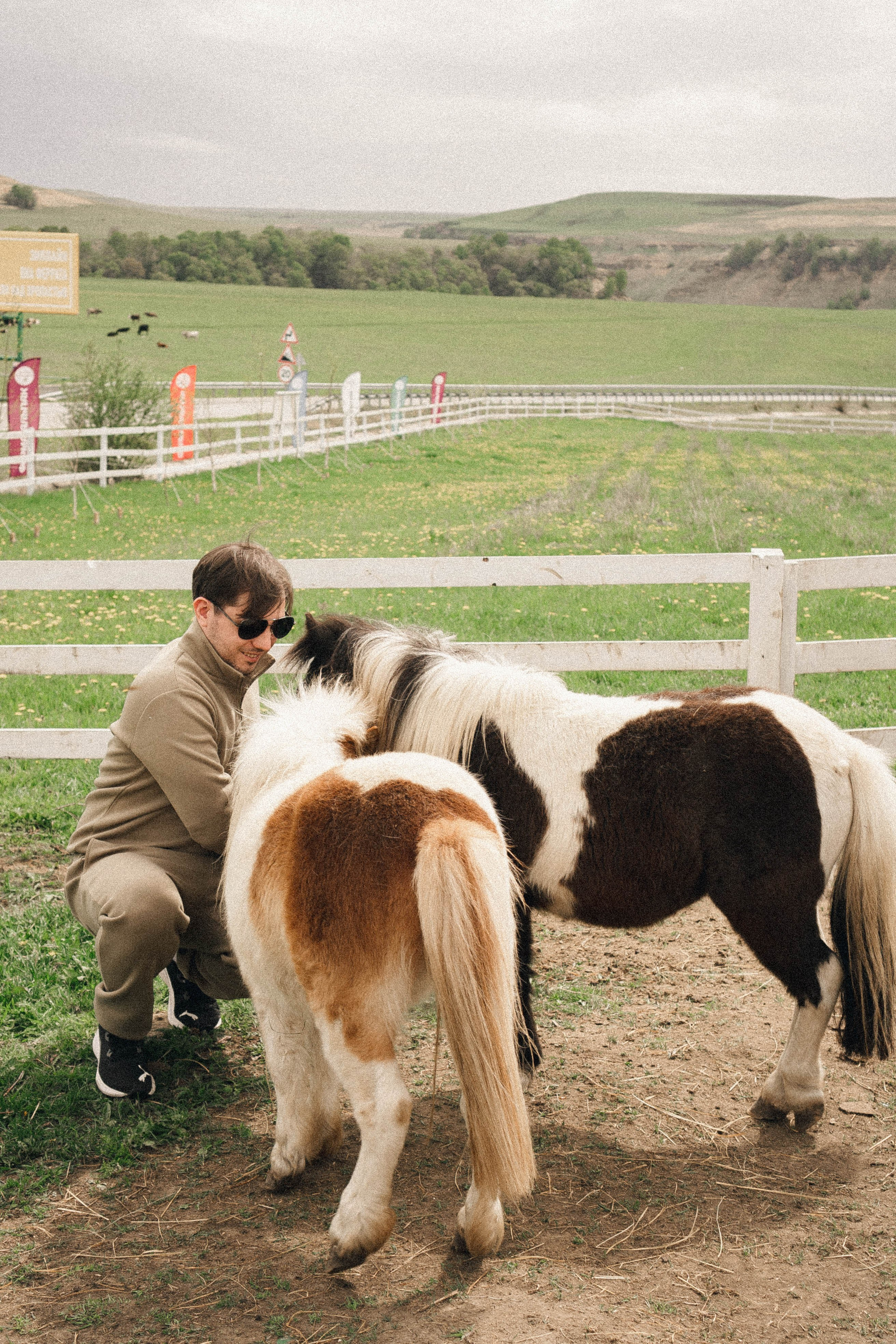 Ферма Альпак. Профессиональный фотограф, Санкт-Петербург — Виктория Богомолова