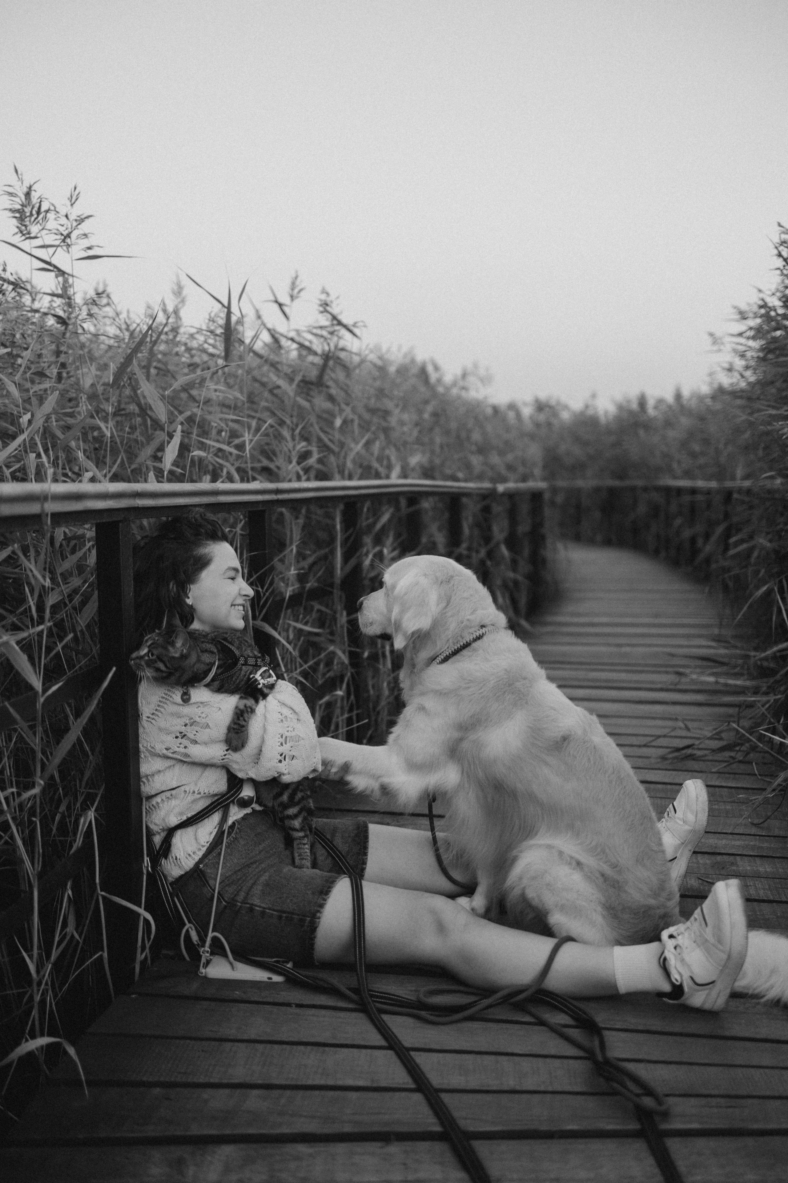 Настя и ее хвостики. Фотораф — анималист Мария Шистка