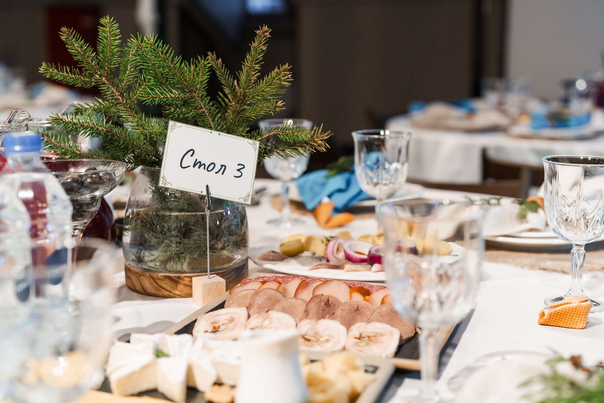 Депутат Романов М.В. Фотограф в Санкт-Петербурге Алексеев Егор