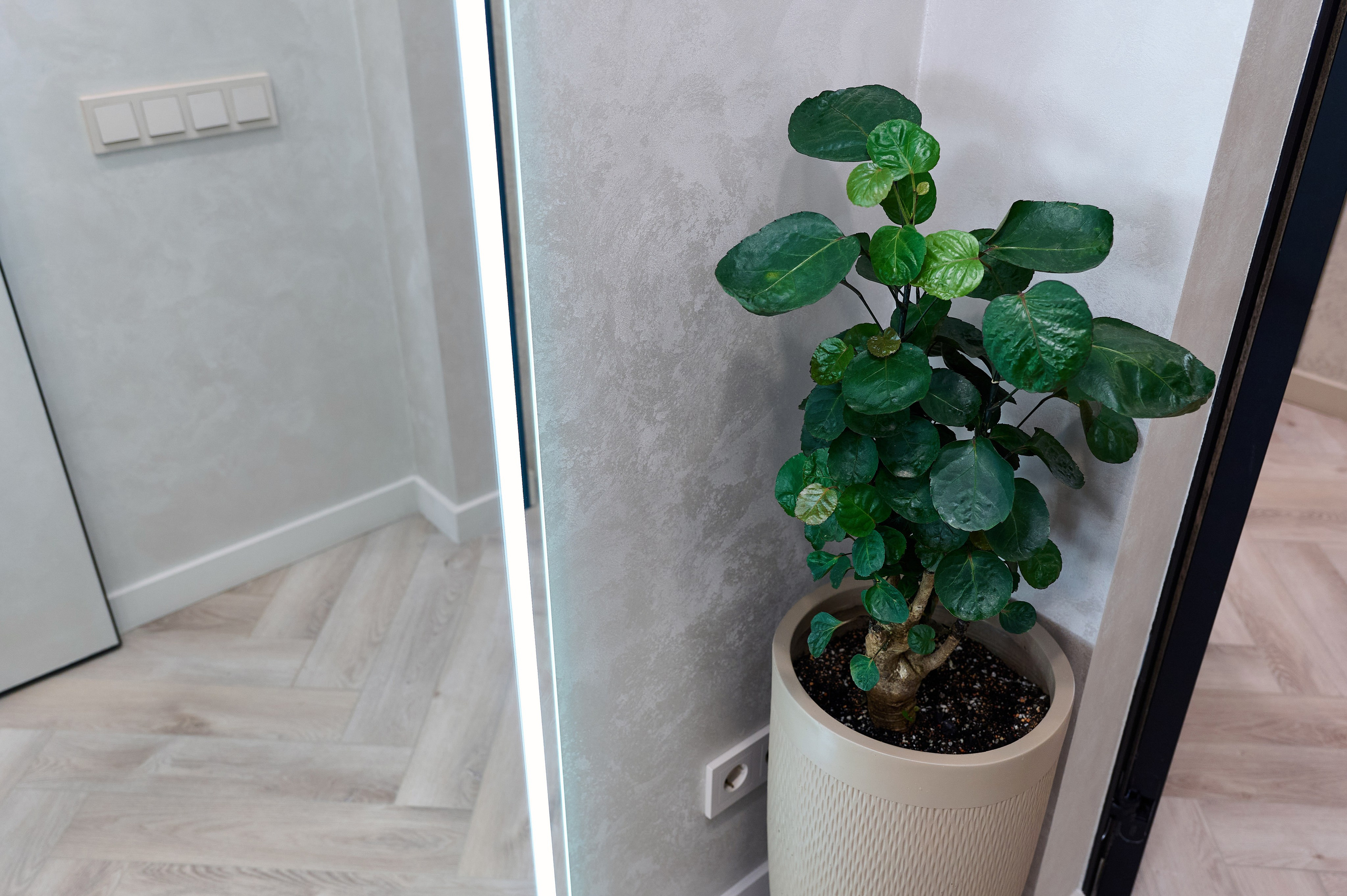 Квартира. Отчет работы дизайнеров. Фотограф Опыт Качество Скорость Горный Алтай Барнаул