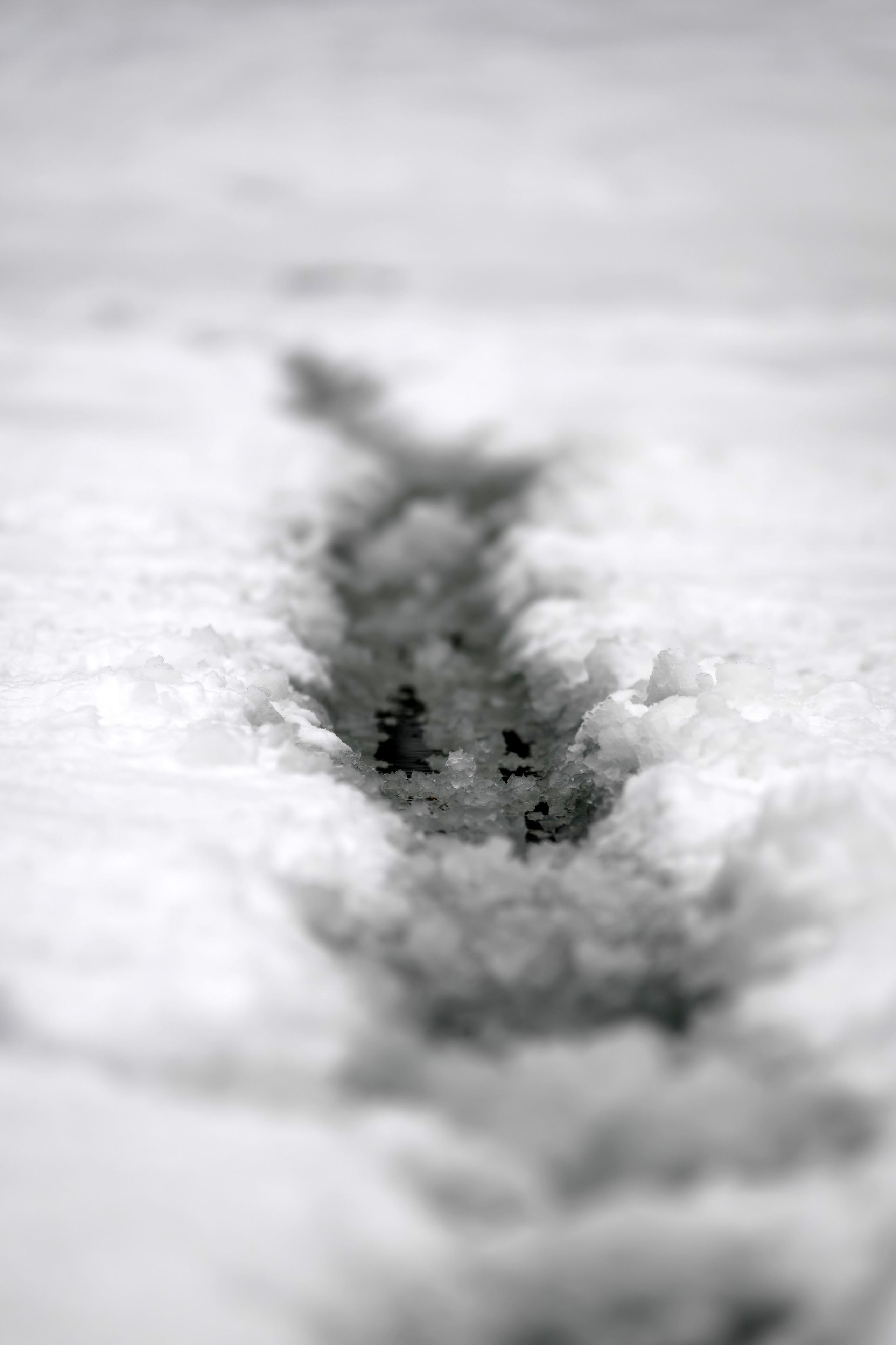 2026 Flat Track x Motorcity Крылатское фотограф Антон Медведев icoguar