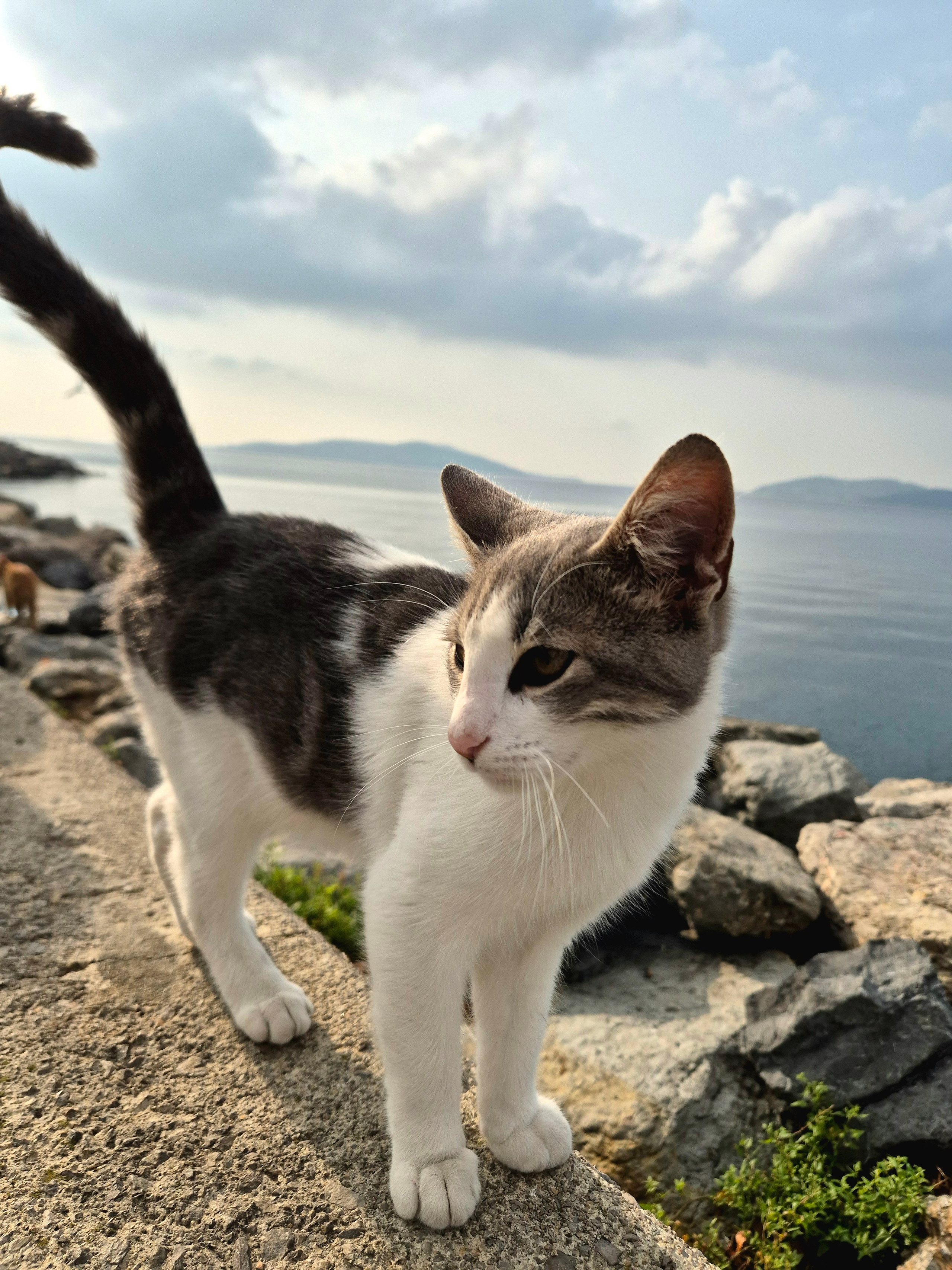 Вспоминали, как проводили здесь 2 недели отпуска по июльской жаре