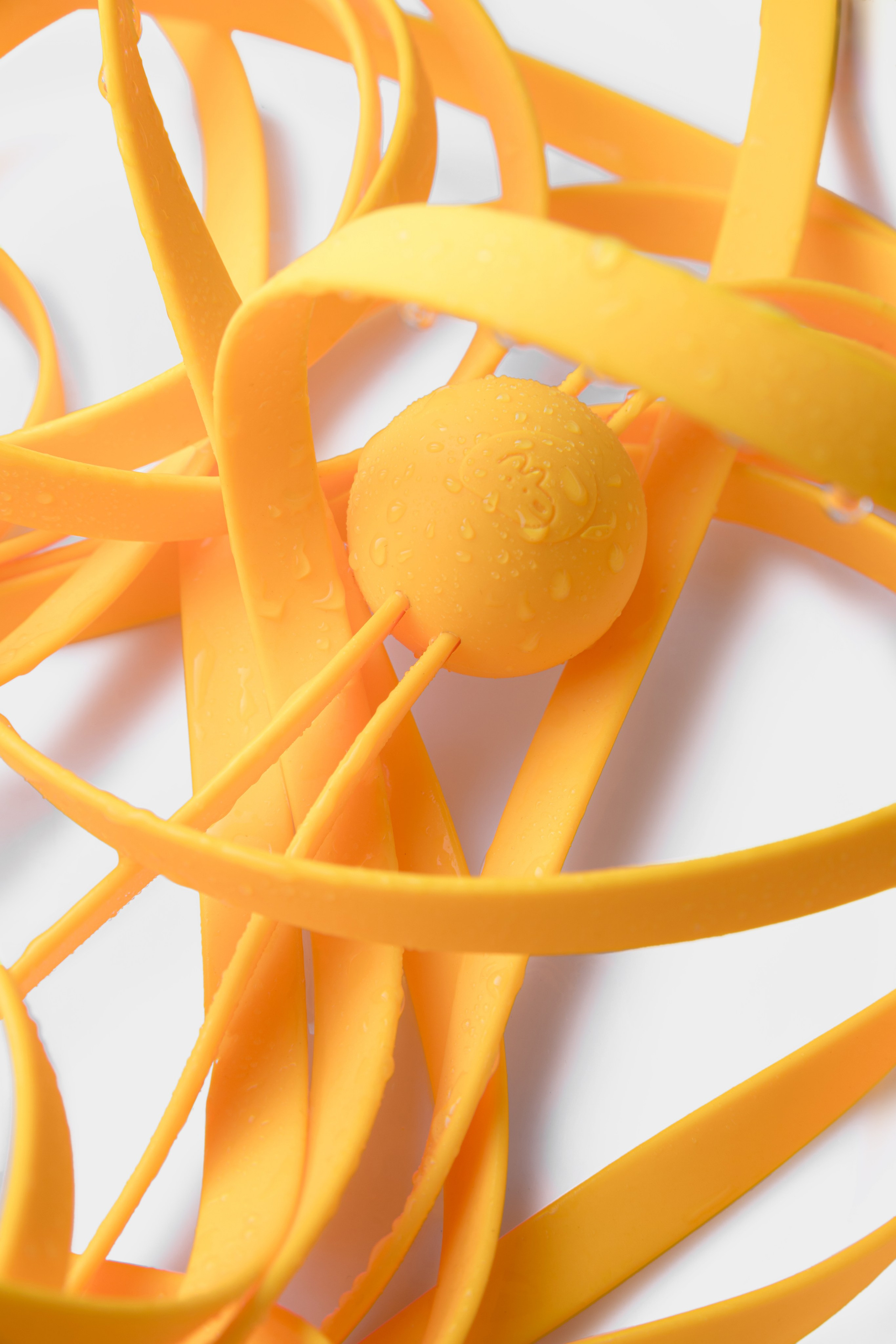 In good company для собак. Фотограф в Москве Татьяна Драгунова