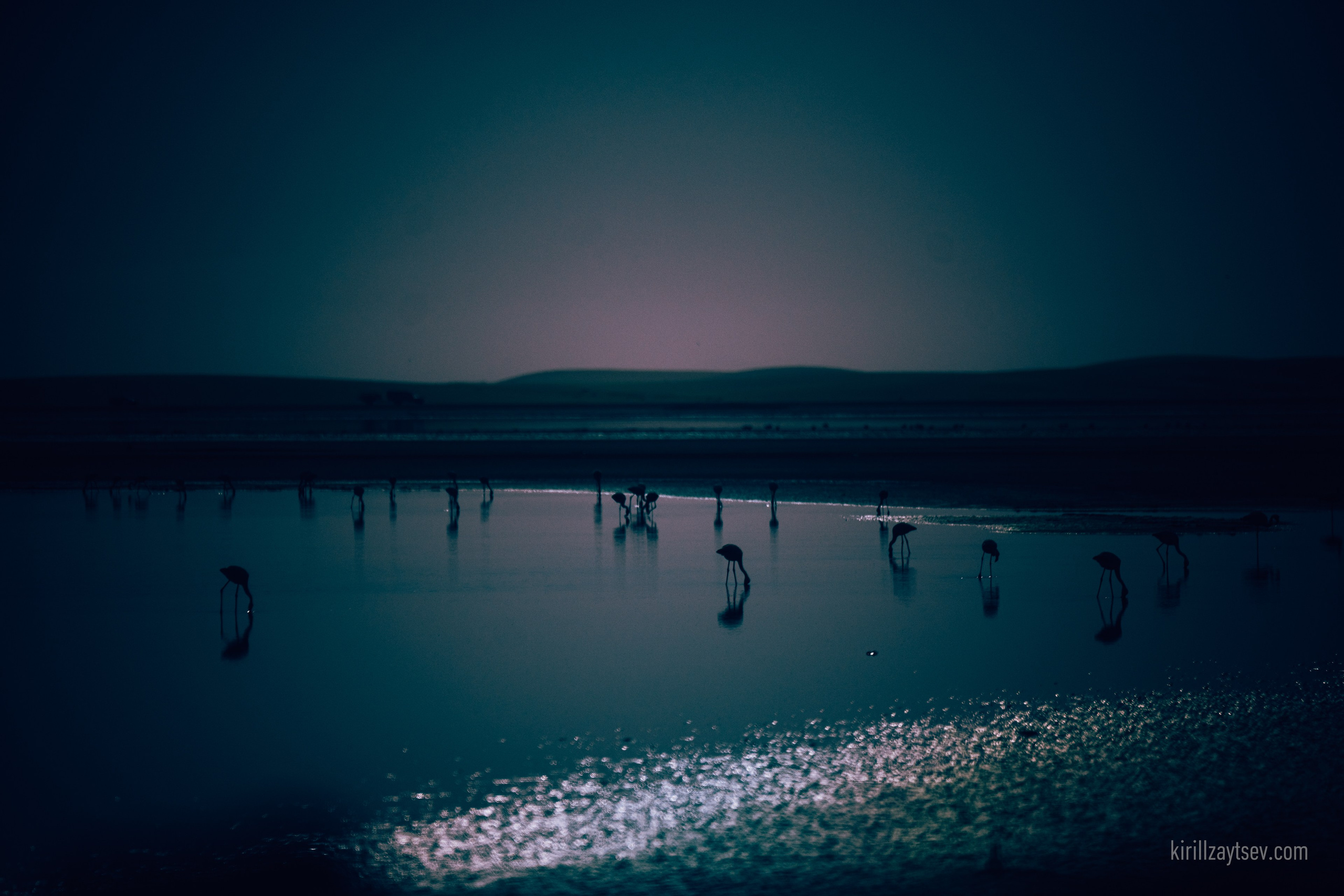 Жизнь. Профессиональный фотограф Кирилл Зайцев