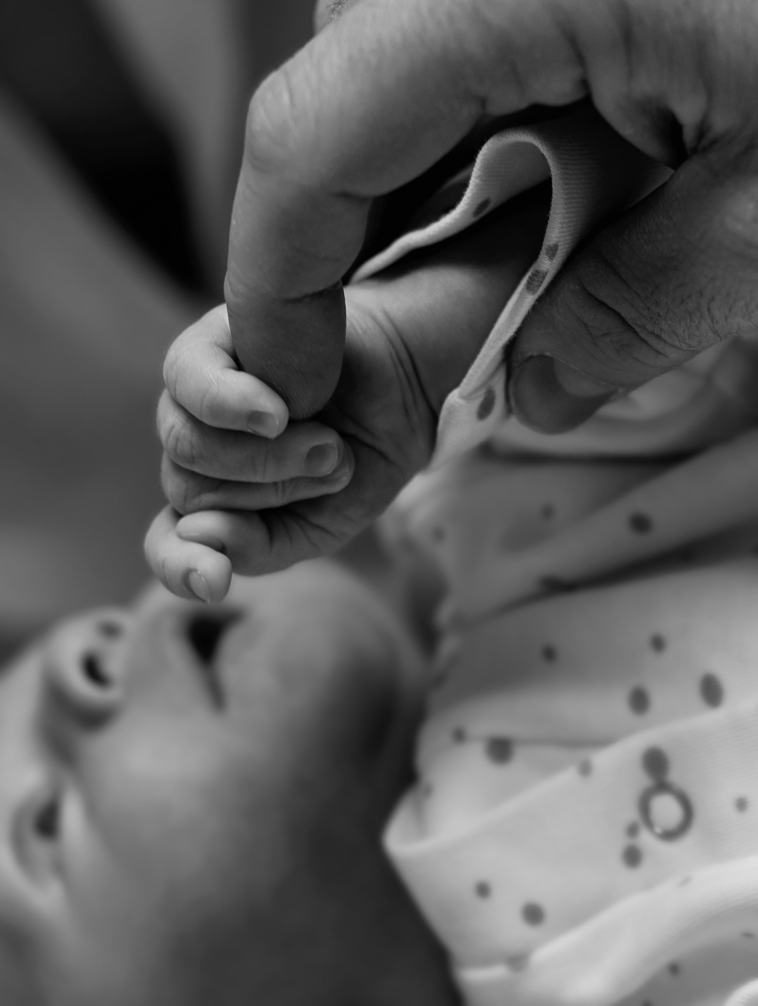 Важные моменты. Фотограф Юлия Тоньшина