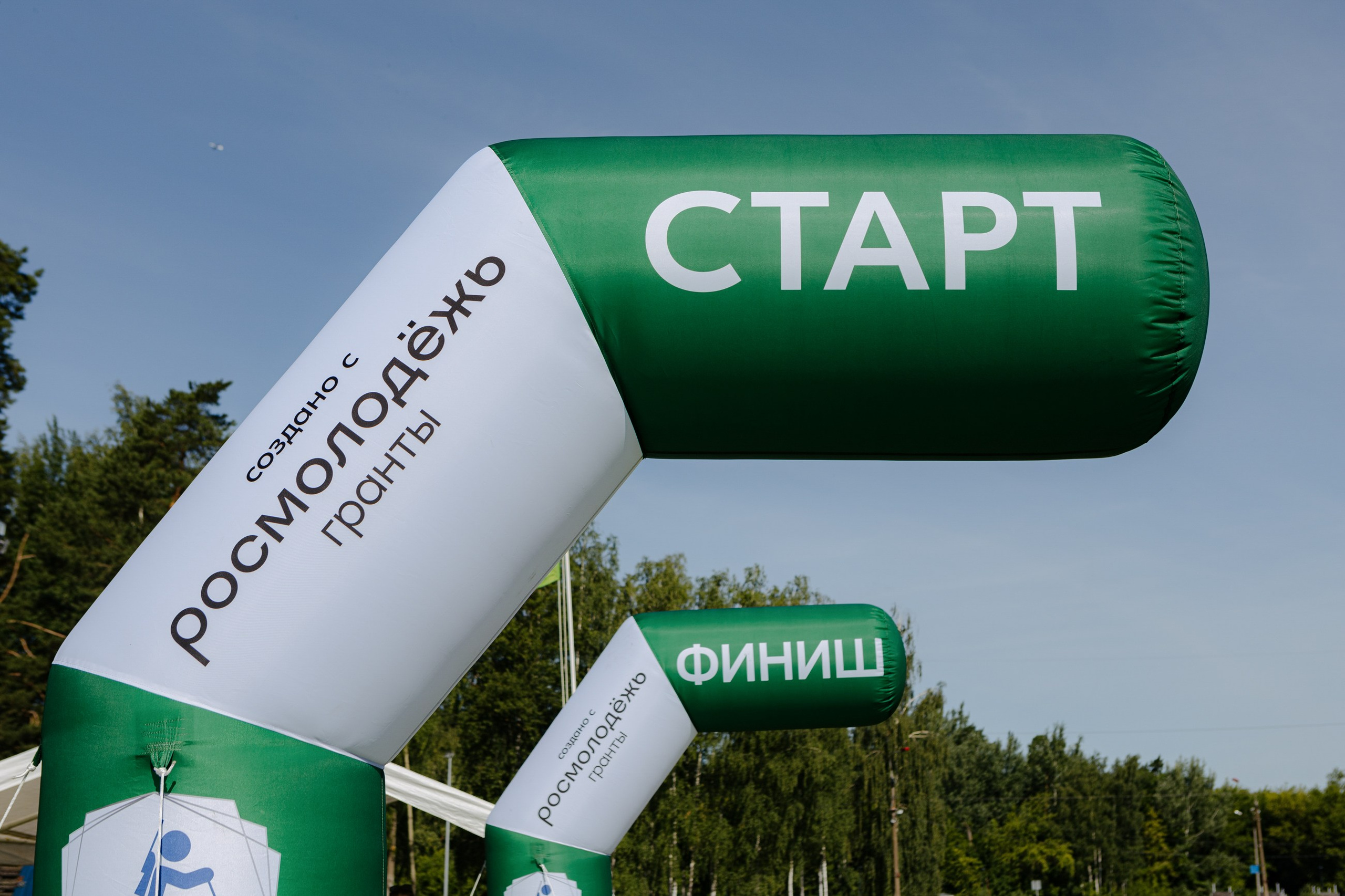 МС груп корпоратив. LEVORIGINAL