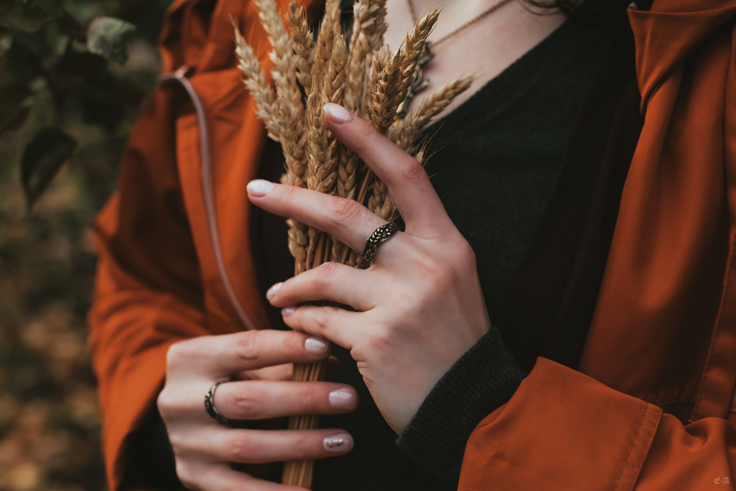 Осенние колосья для Белой Волчицы. Фотограф Ellairen