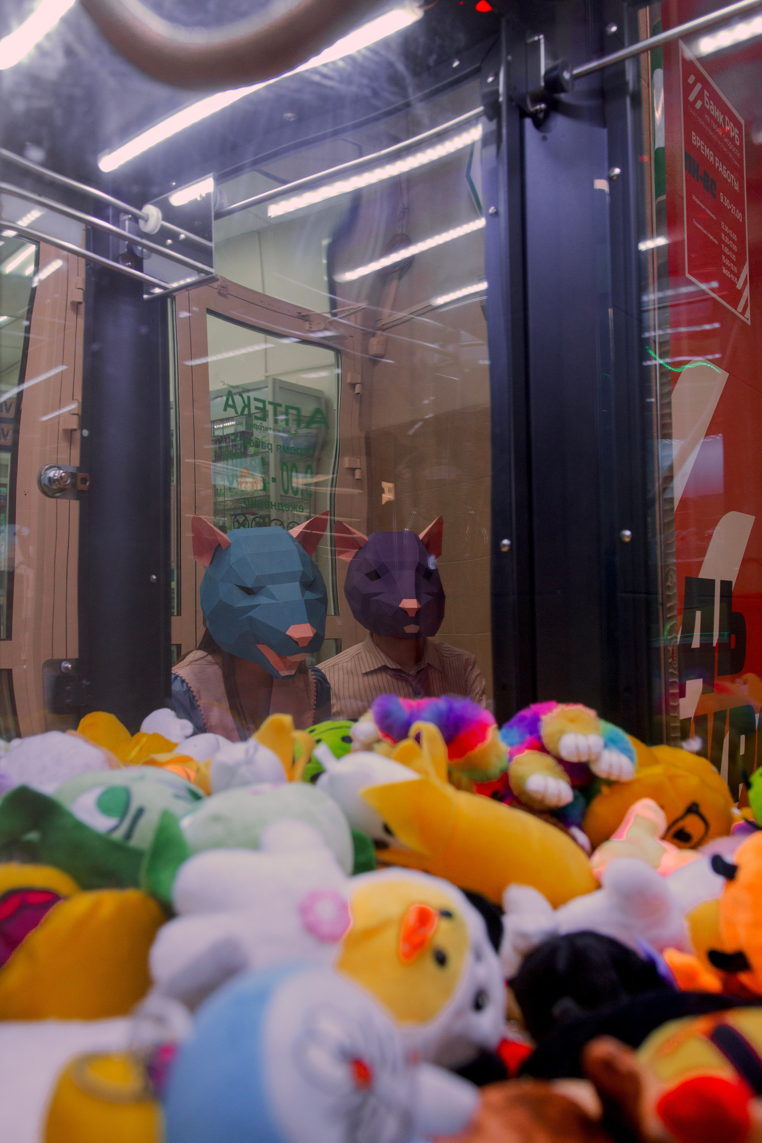 Красивая крысиная любовь