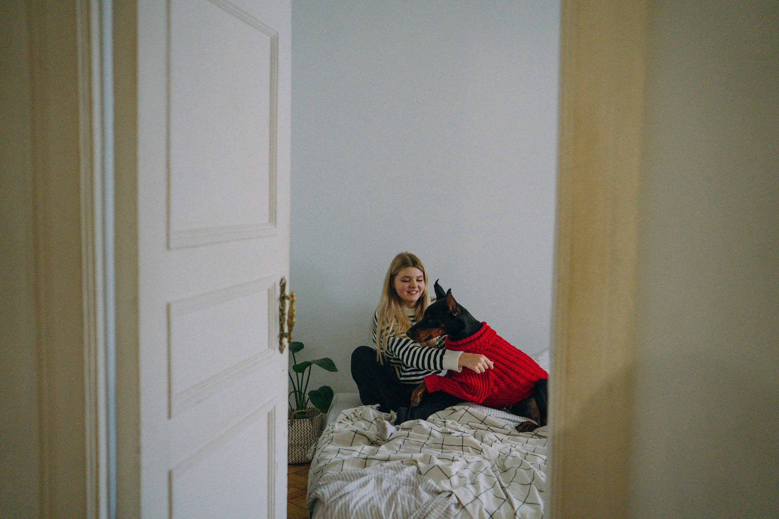 Саша и Асти. Фотограф анималист в Москве и Санкт-Петербурге Свиридова Анна