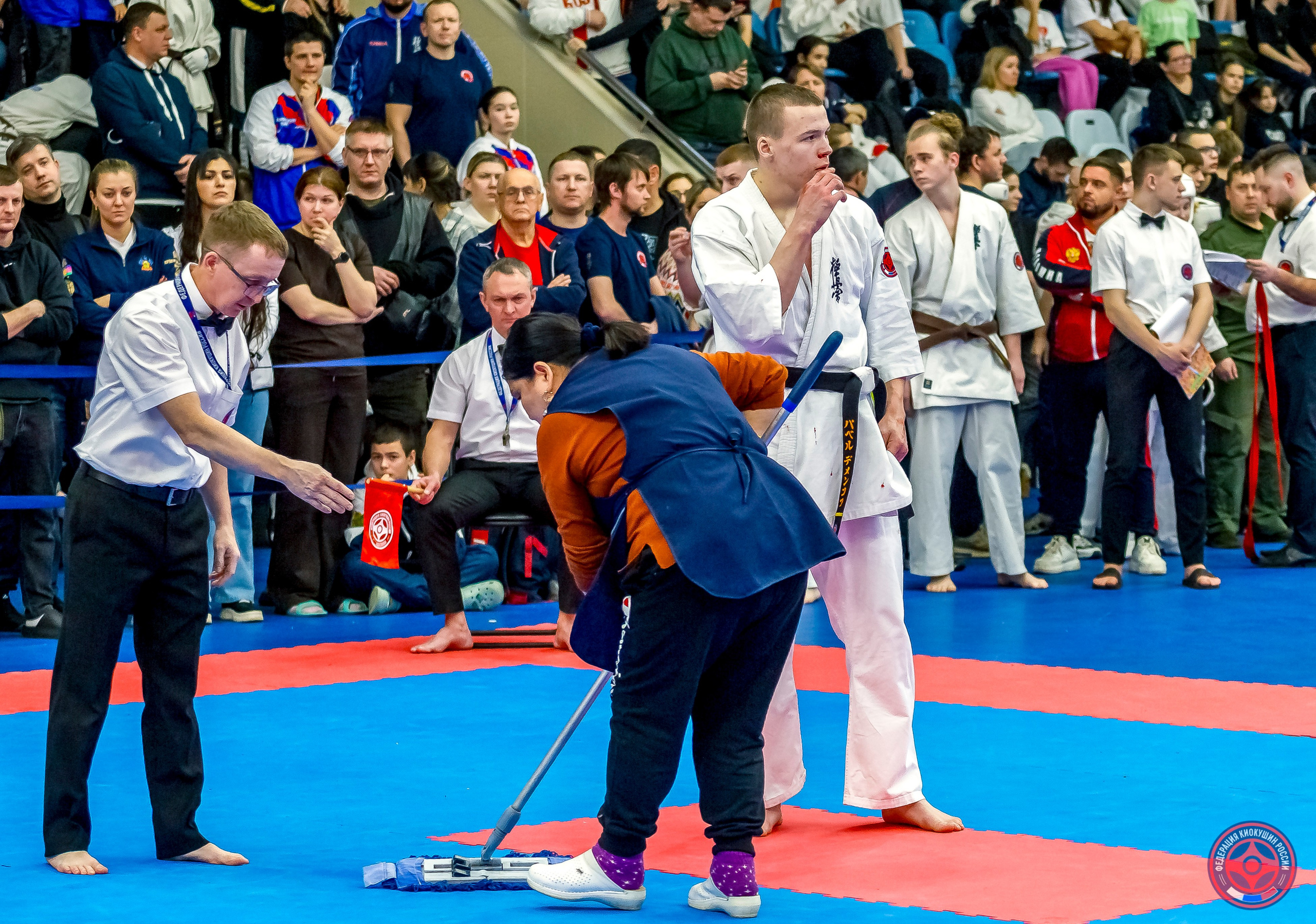 Международный турнир по киокушин «Открытый кубок Seiken». Репортажная съемка в Москве и области. Анималистика