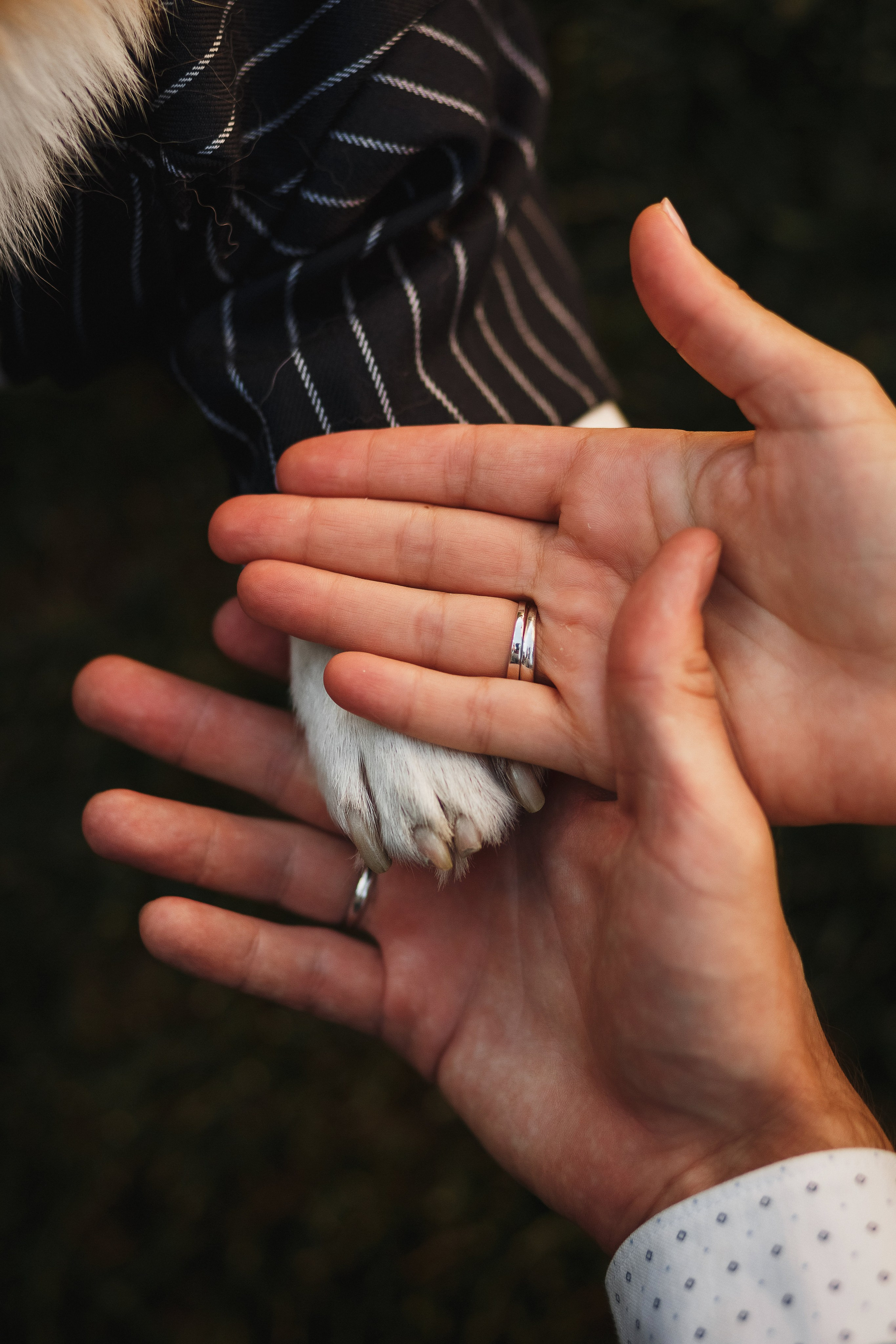 Фотосессия в Таганроге: Денис и Маша с их очаровательной собакой. Свадебный и семейный фотограф в Таганроге Бакарюк Антон