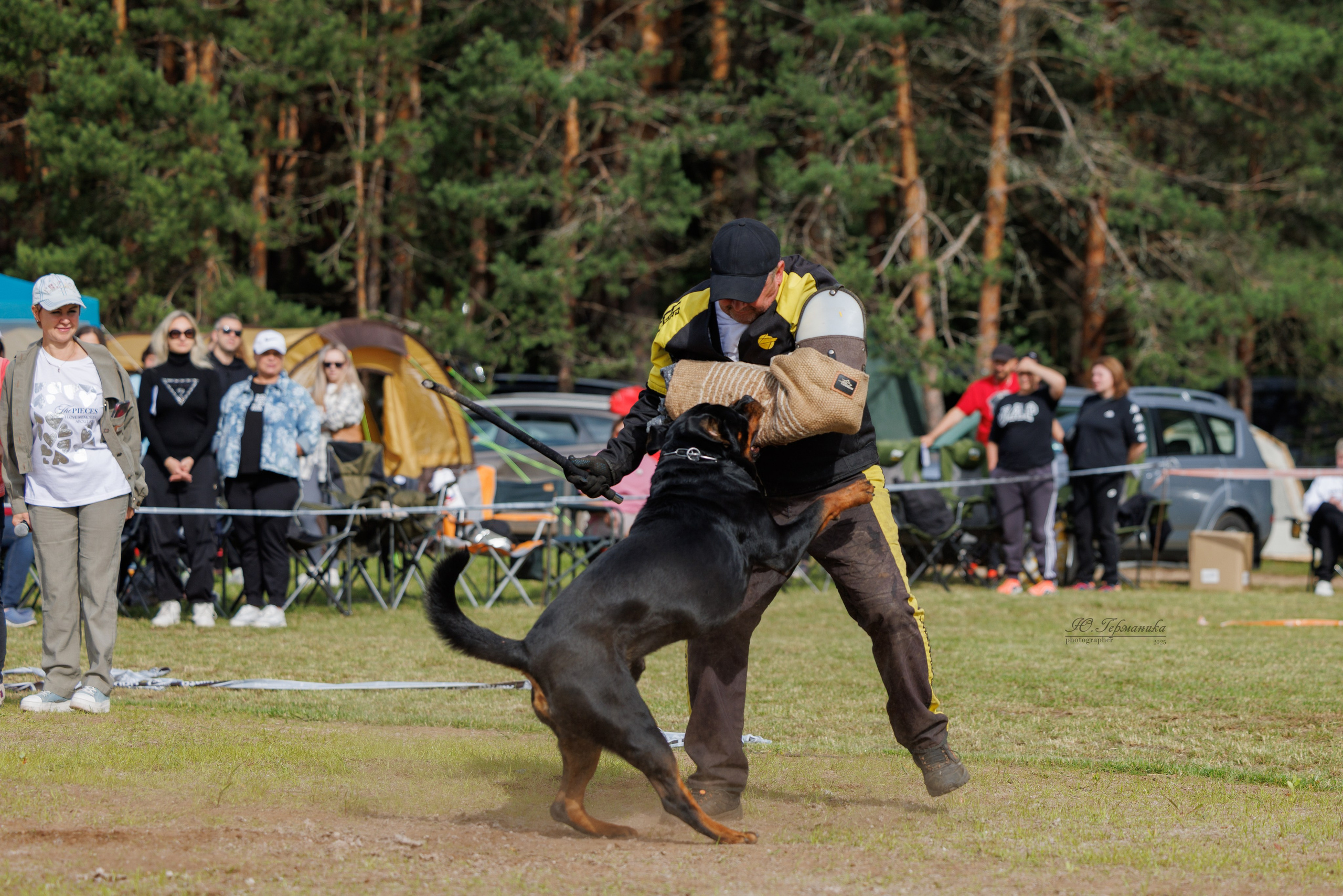 Тверь ротвейлеры 5-6.07.2025. Фотограф-анималист Юлия Германика